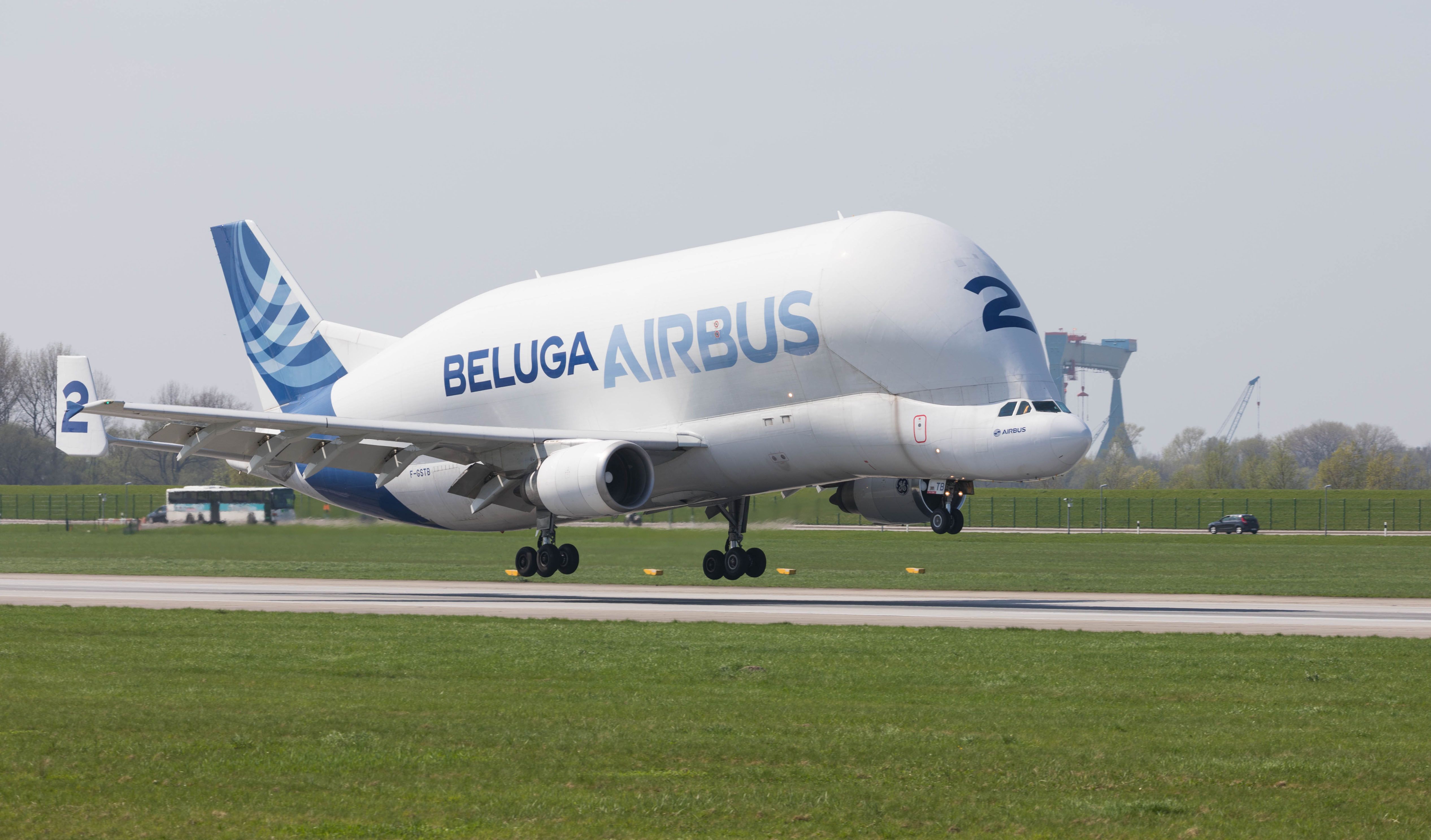 National Air Cargo Eyes Airbus Beluga Freighter