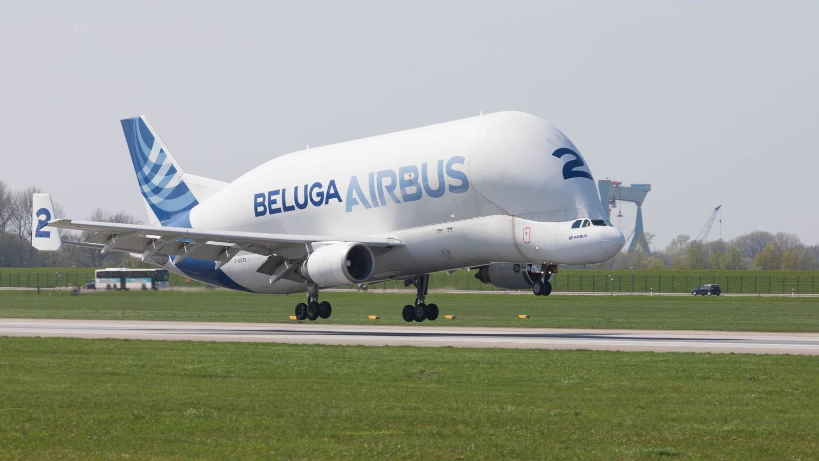 National Air Cargo Eyes Airbus Beluga Freighter