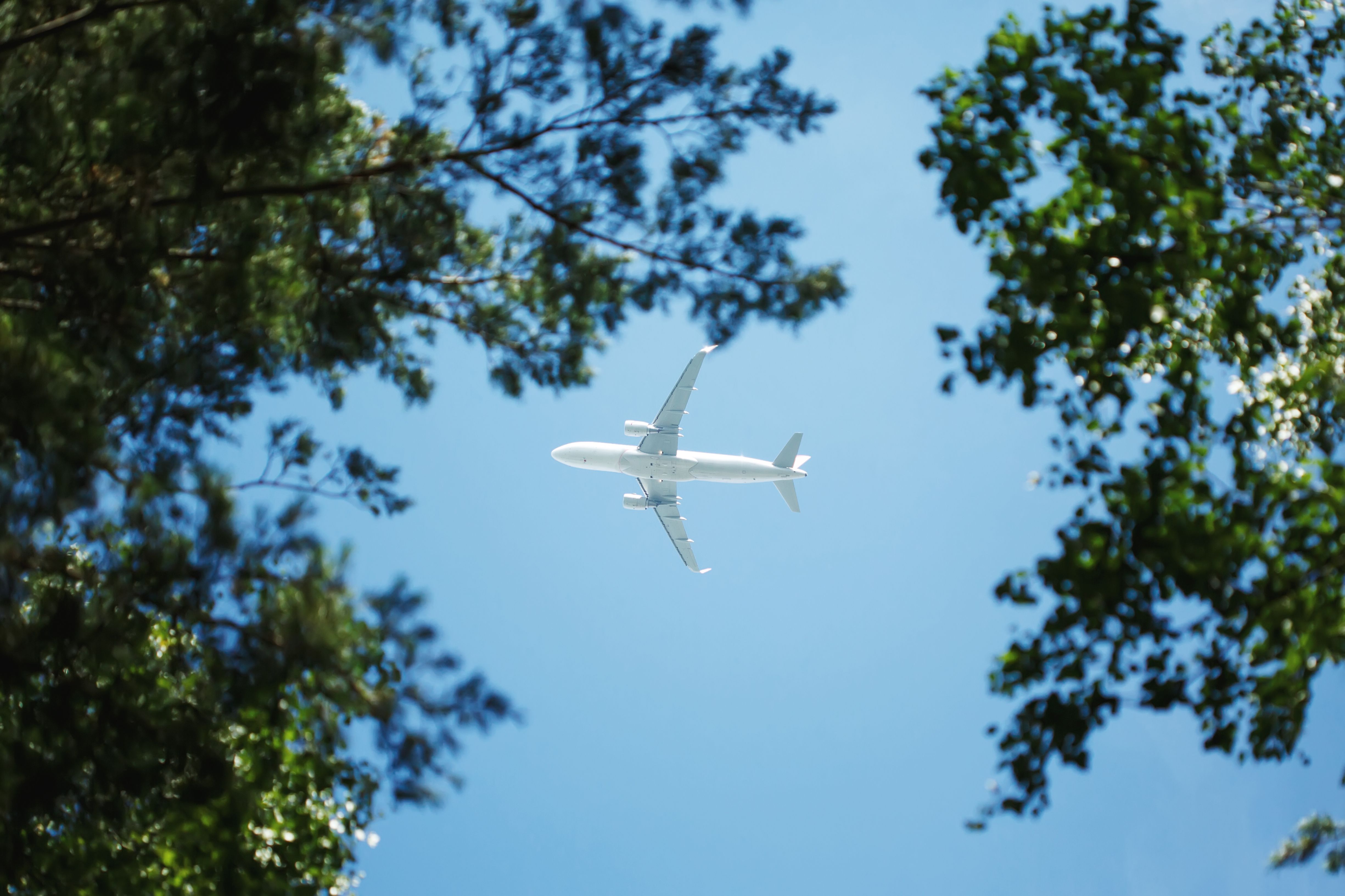 IATA Says Carbon Caps Could Come To Some Airlines By Next Year