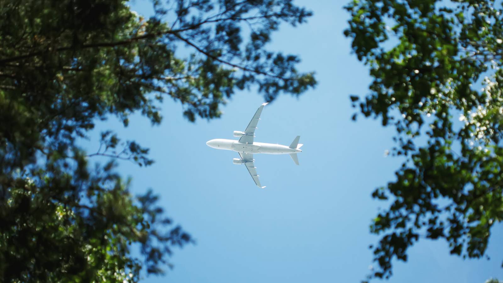 IATA Says Carbon Caps Could Come To Some Airlines By Next Year