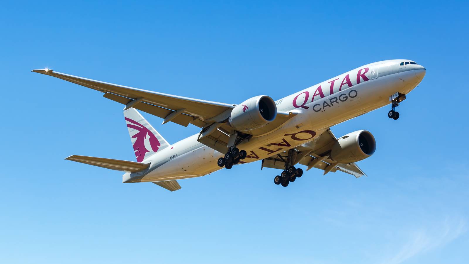 3 Sloths Freeze To Death On Qatar Airways Boeing 777