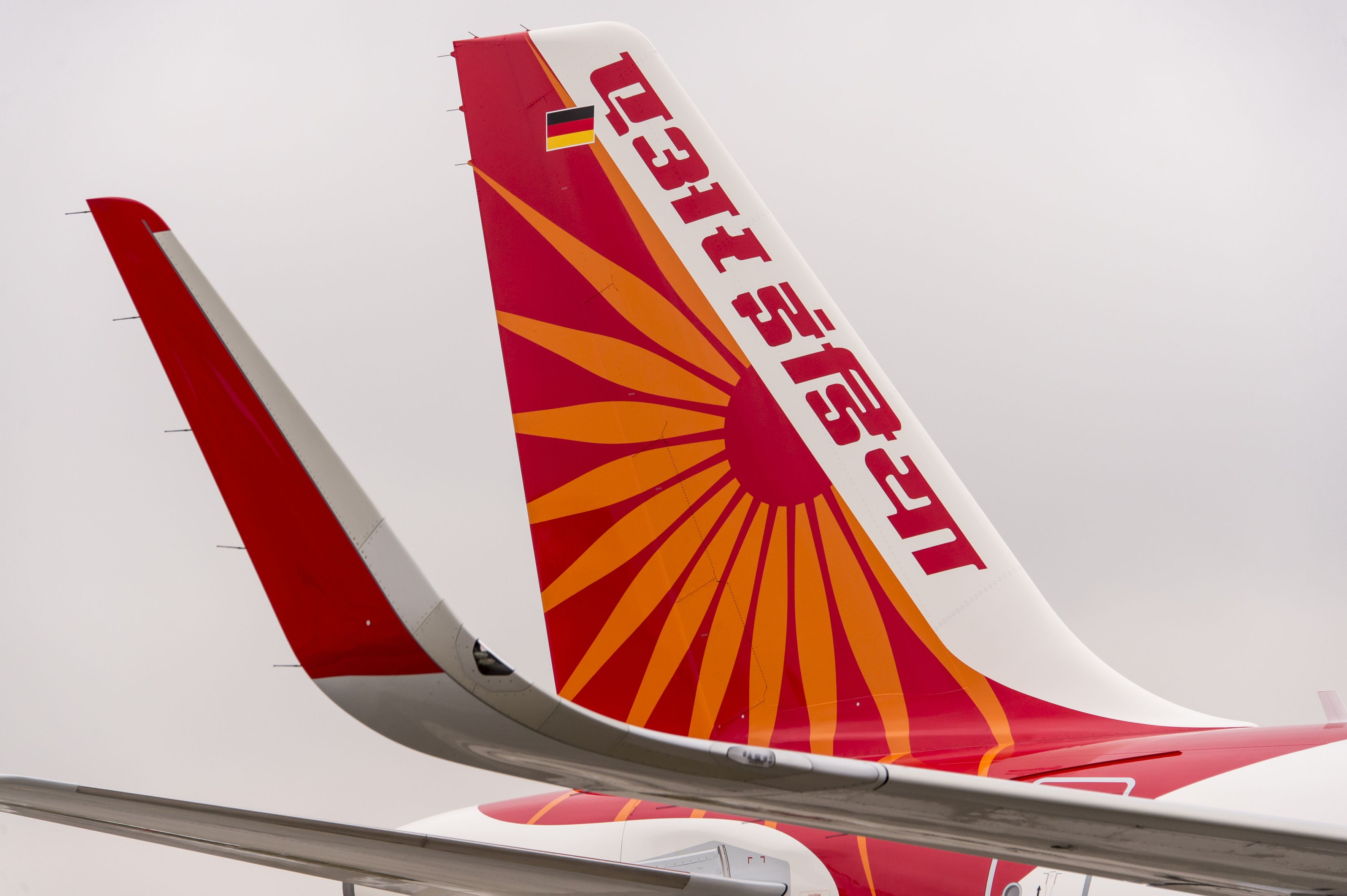 Passenger Blames Air India For Missing Cat At Delhi Airport