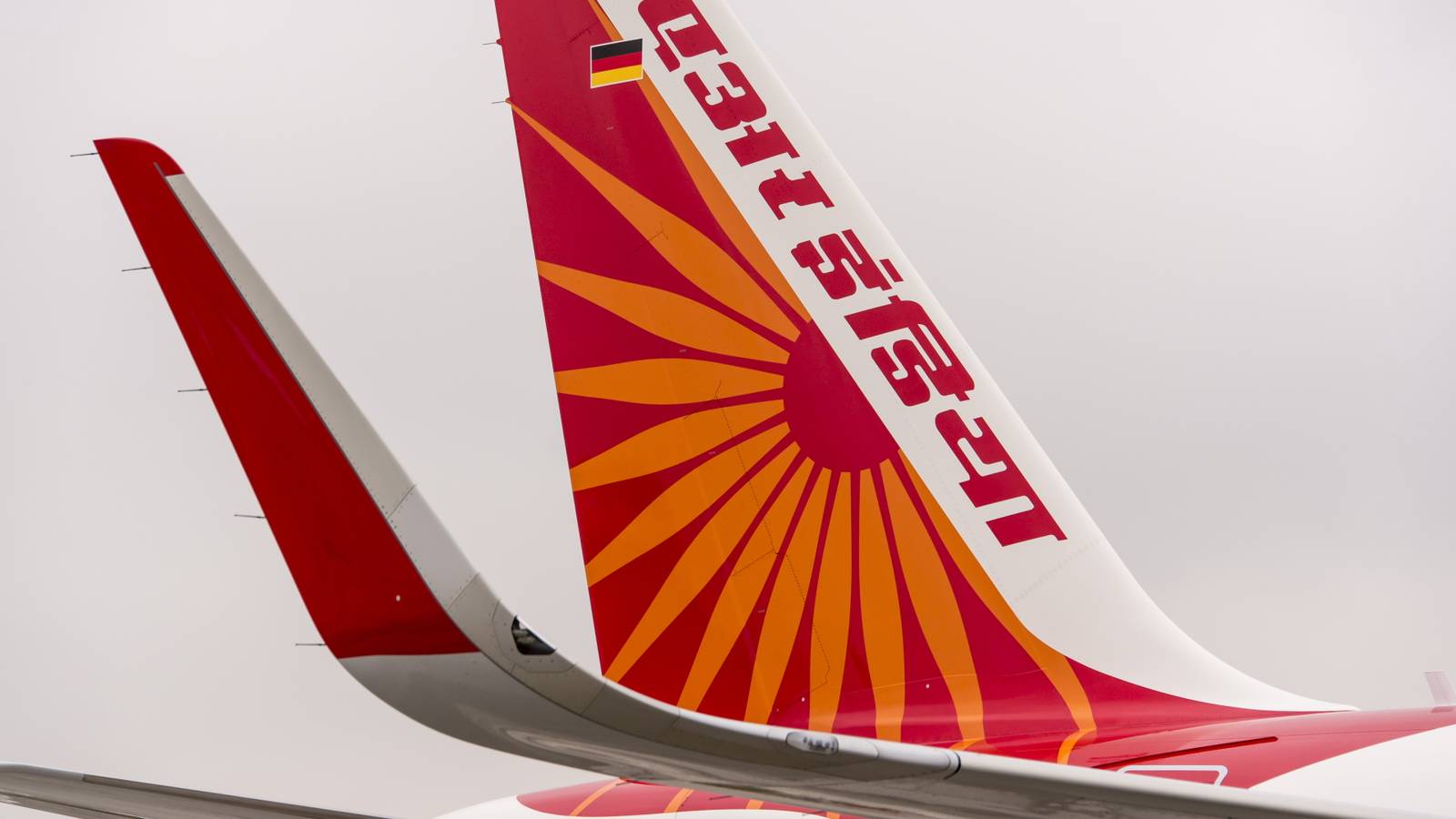 Passenger Blames Air India For Missing Cat At Delhi Airport