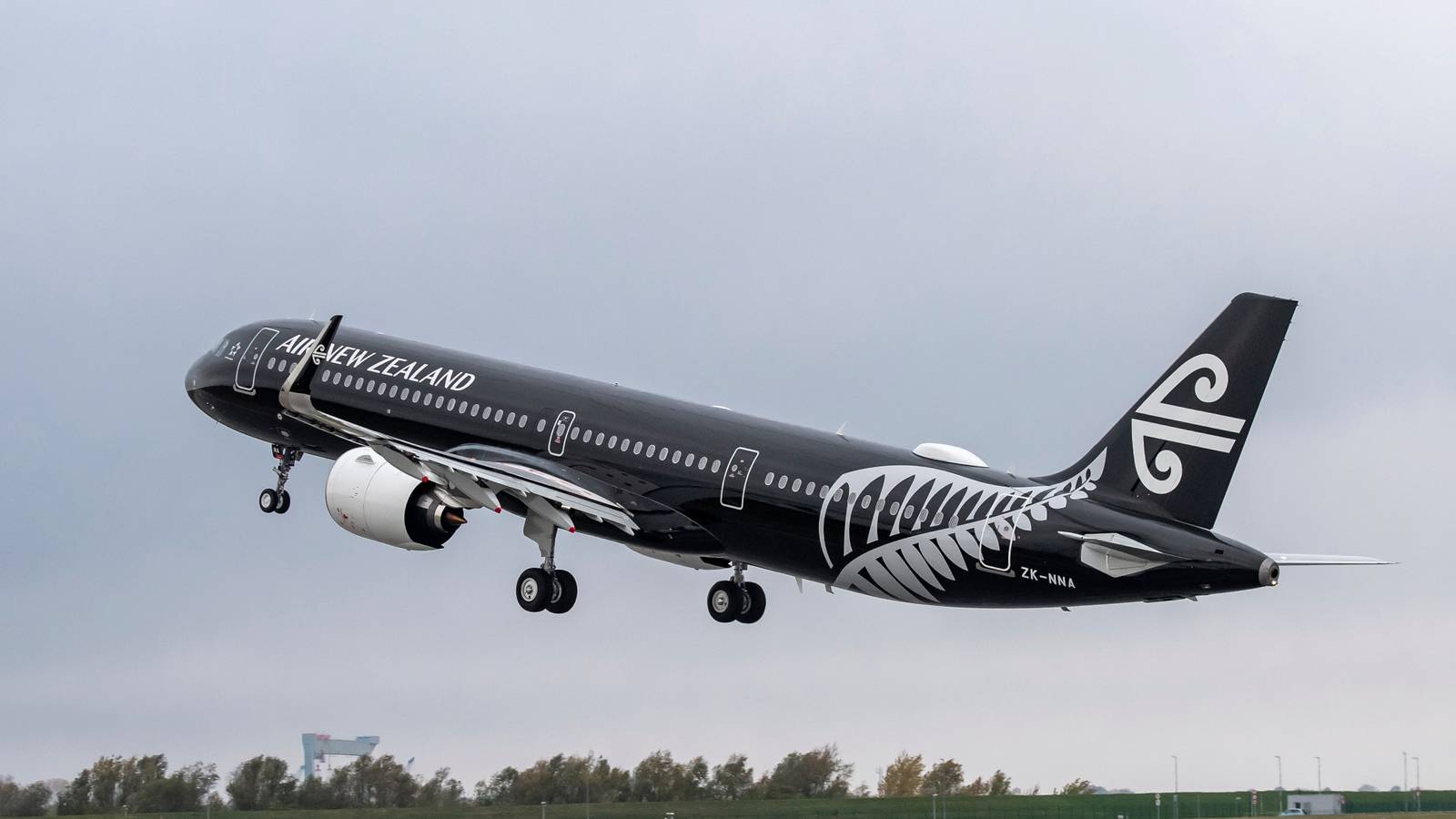 Air New Zealand Showcases Traditional Māori Remedies