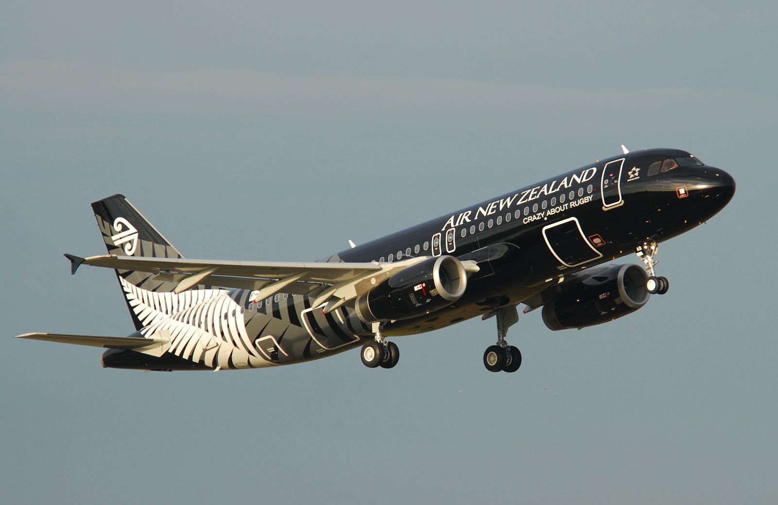 Air New Zealand Conducts First Flight Entirely In Māori