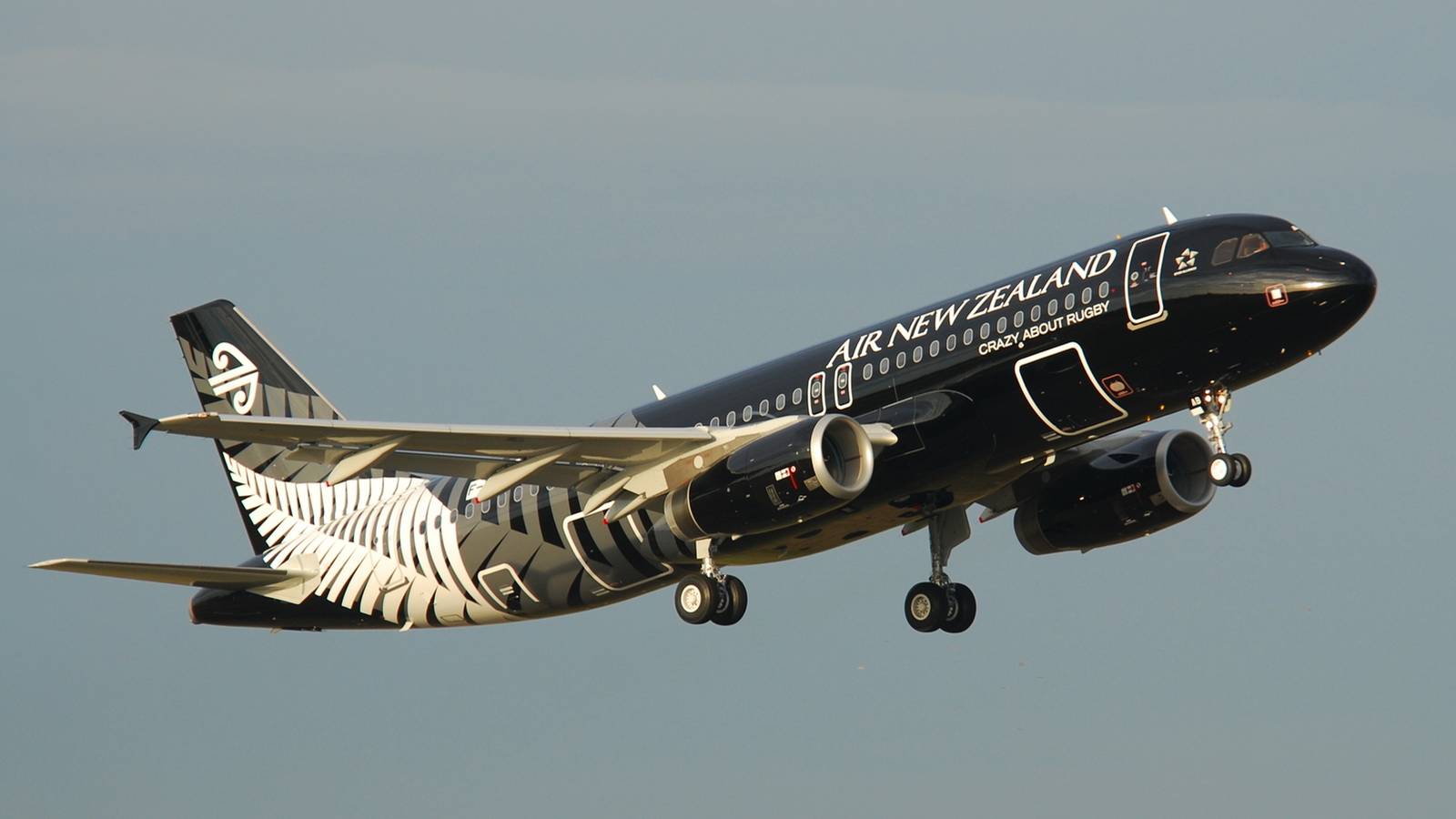 Air New Zealand Conducts First Flight Entirely In Māori