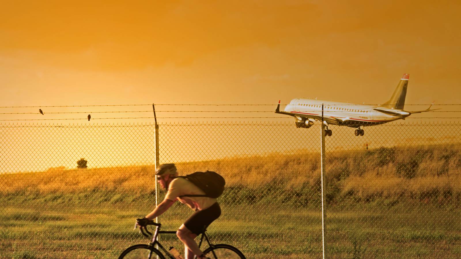 The Ins And Outs Of Flying With A Folding Bike