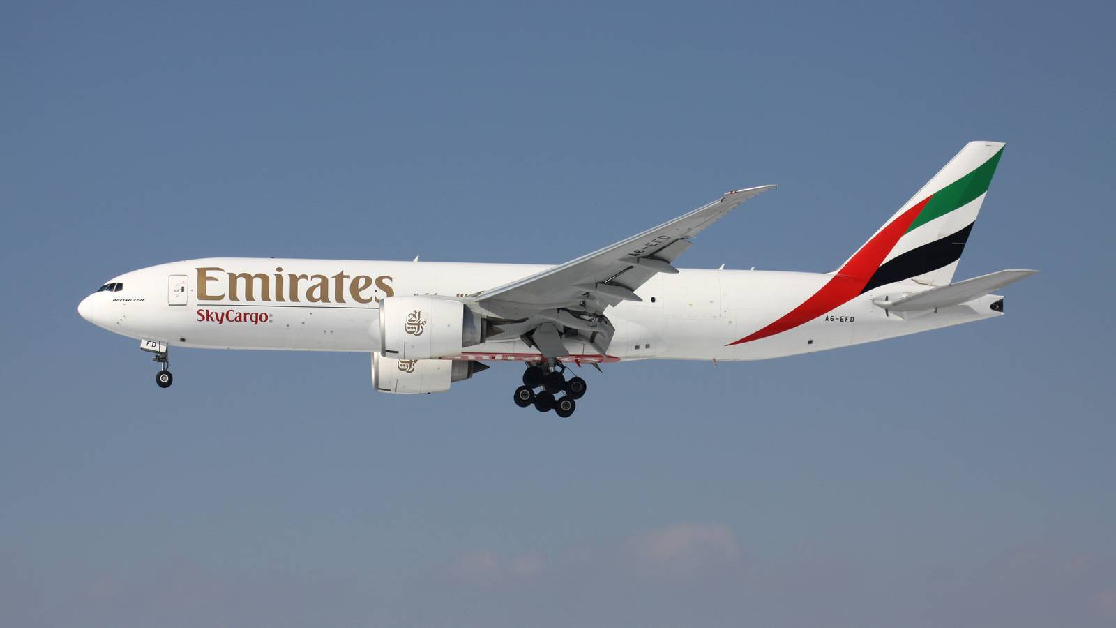 Saving Grace: How Cargo Is Fueling Widebody Aircraft Demand