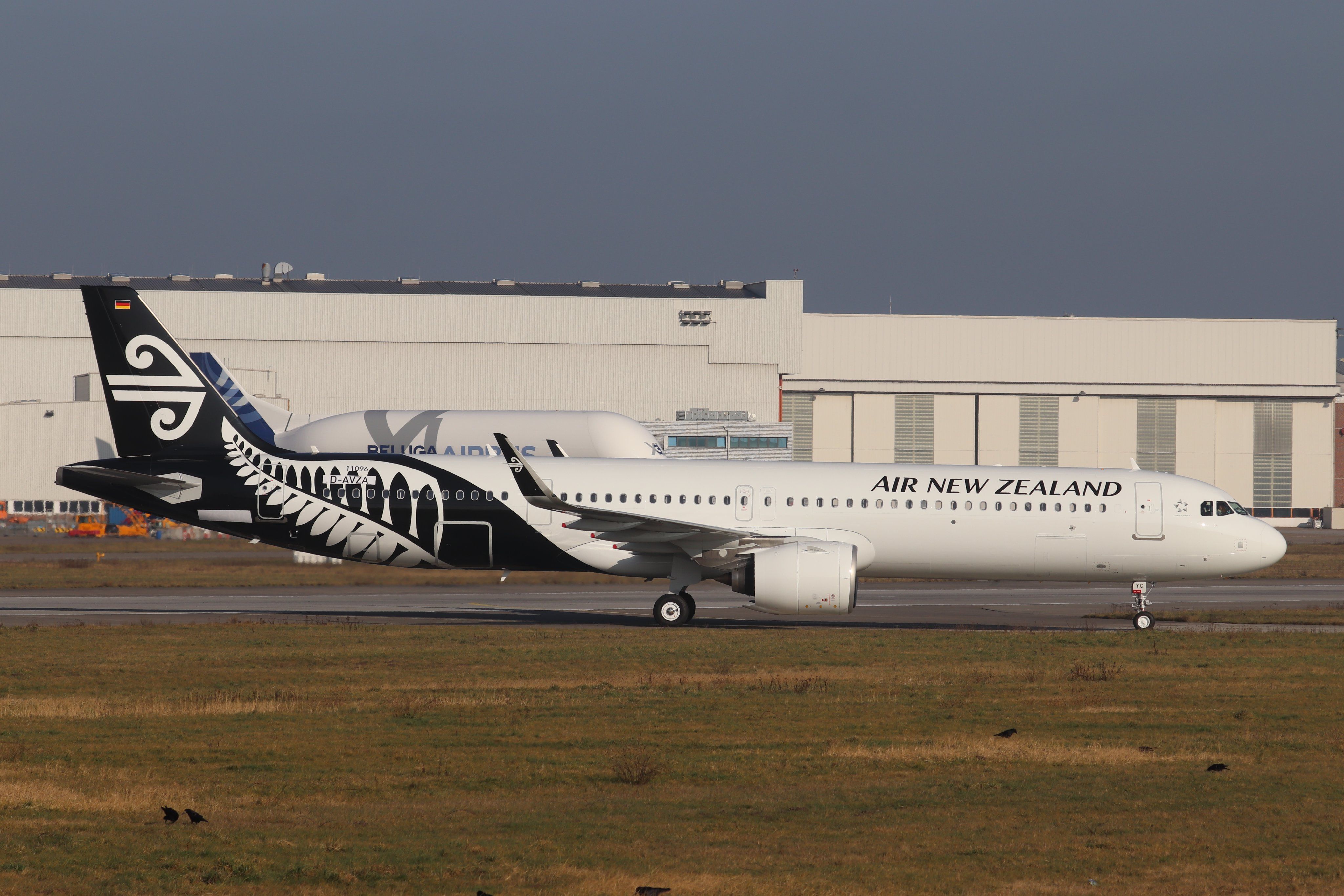 zk-oyc-air-new-zealand-tobias-