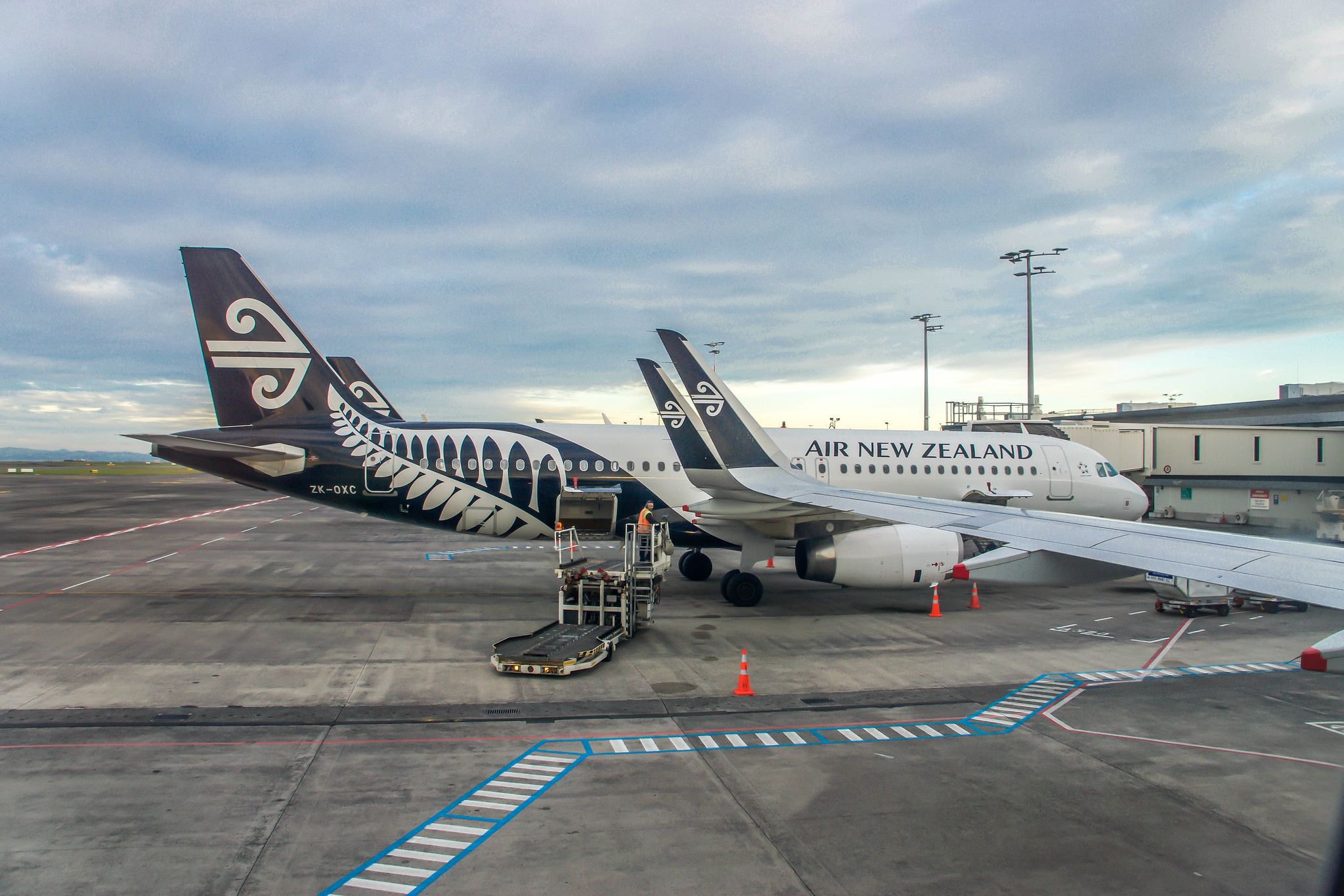 Passengers Face Long Lines At Auckland Airport After Passport Control Technical Failure
