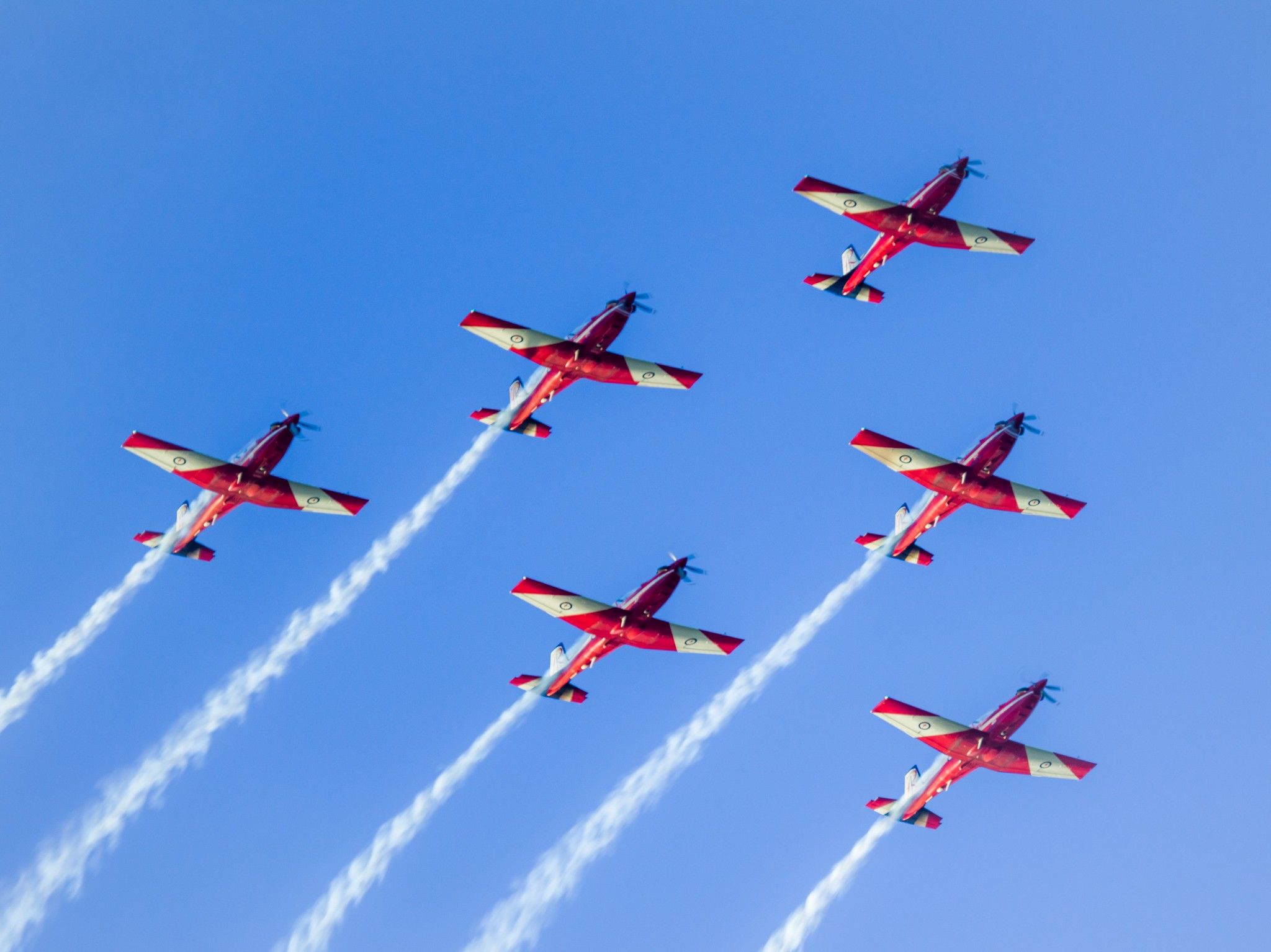 Roulettes: The Royal Australian Air Force's Aerobatic Display Team