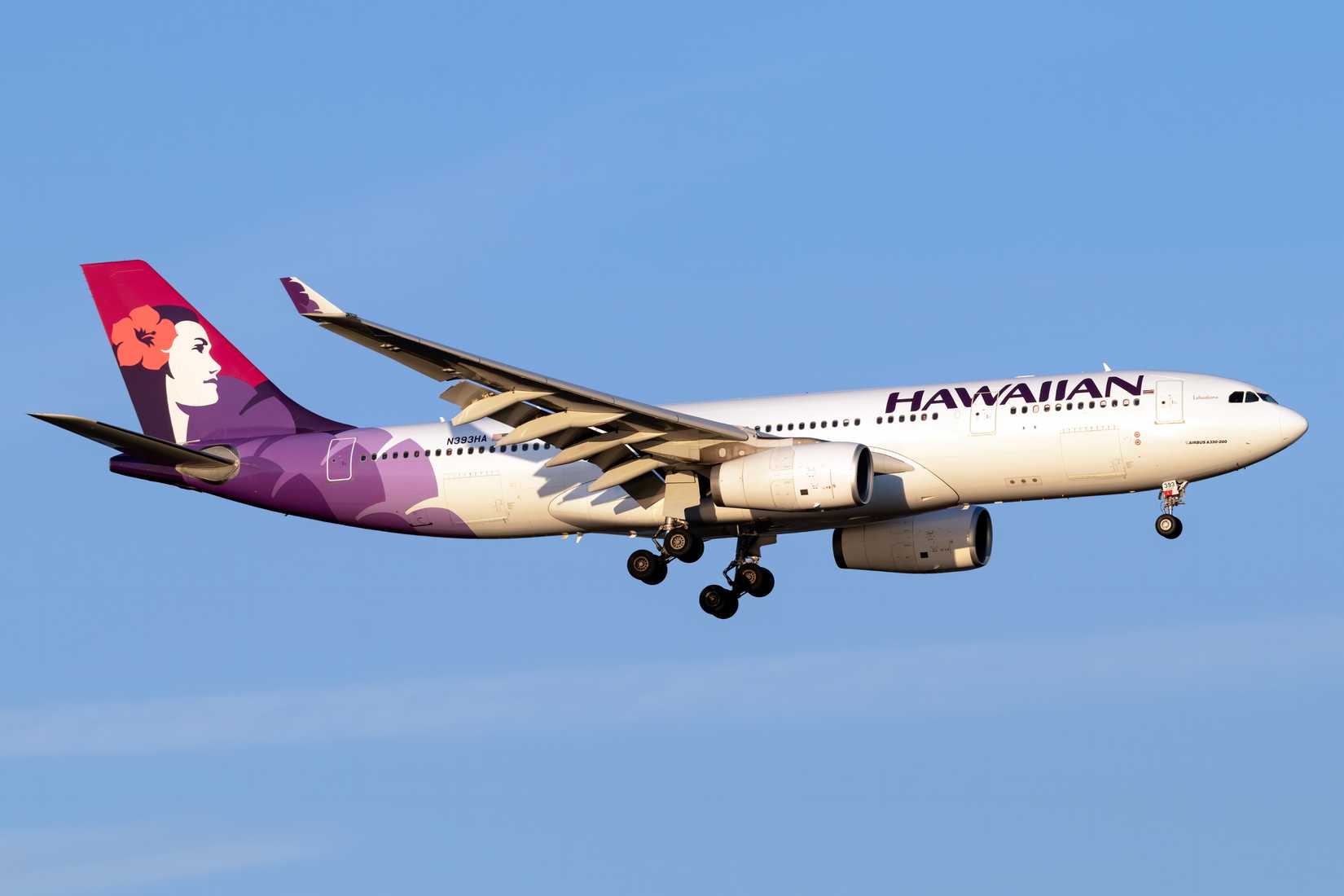 Hawaiian Airline Airbus A330