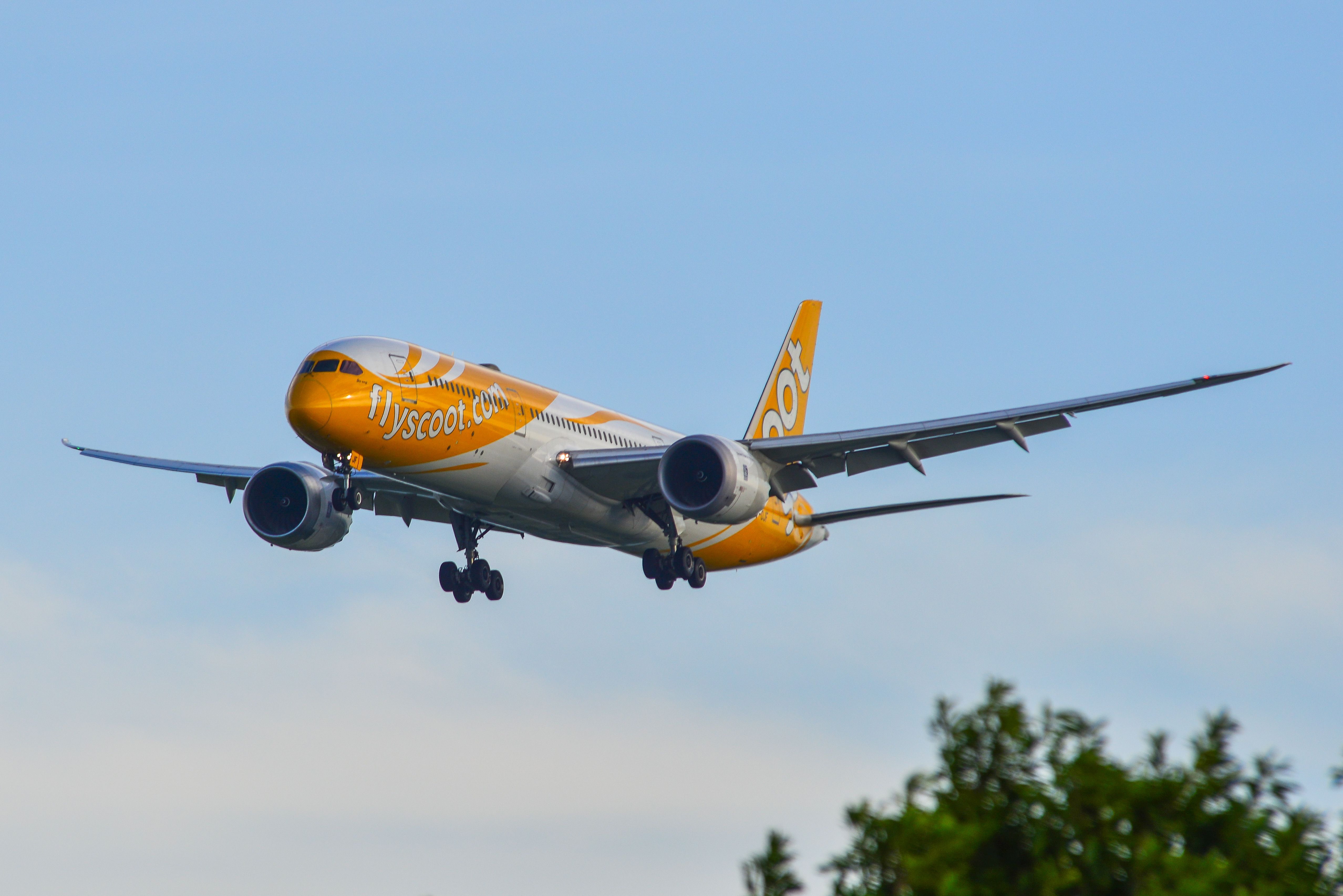 Singapore Airlines' Low-Cost Subsidiary: The Scoot Fleet In 2023