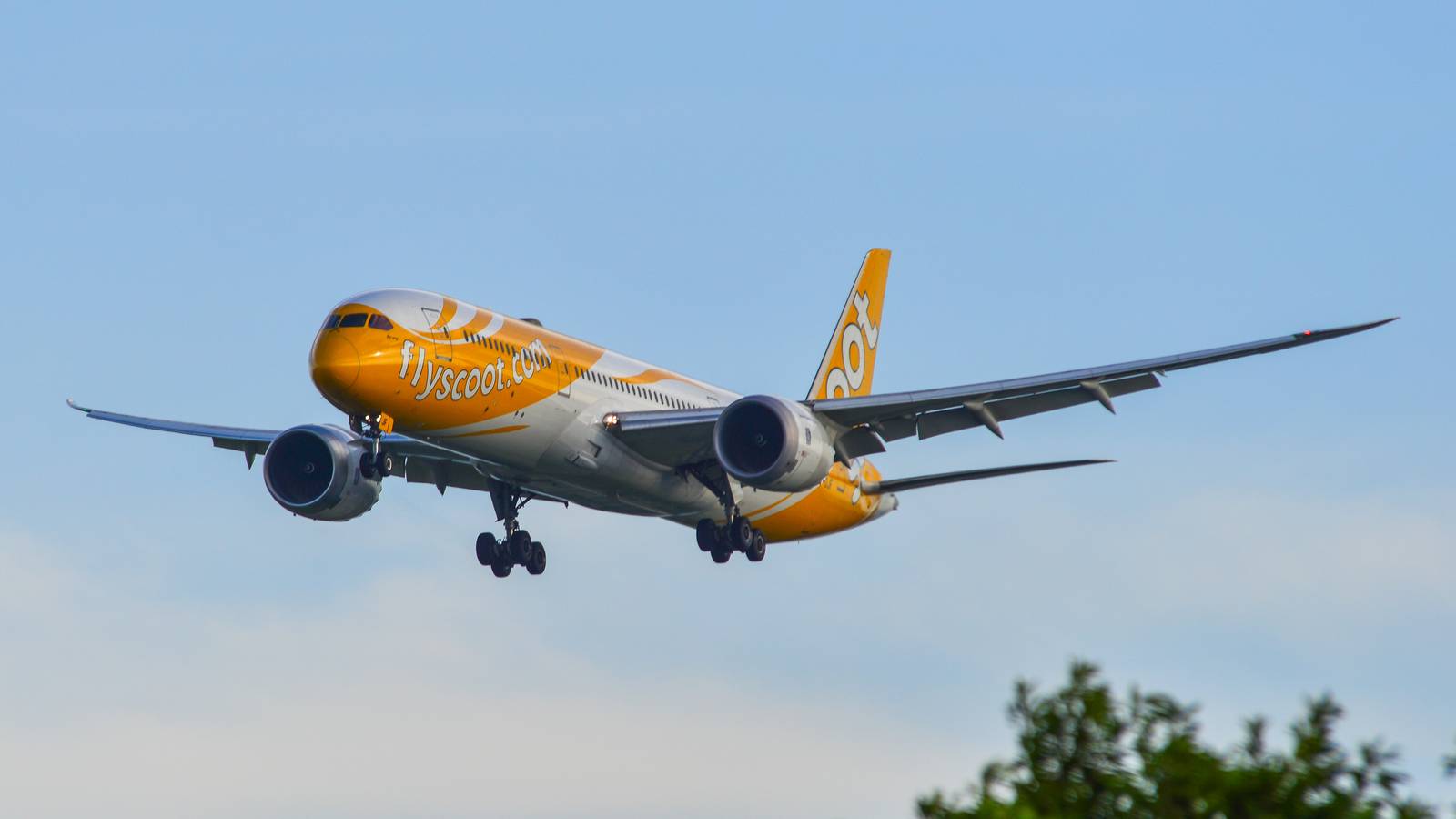 Singapore Airlines' Low-Cost Subsidiary: The Scoot Fleet In 2023
