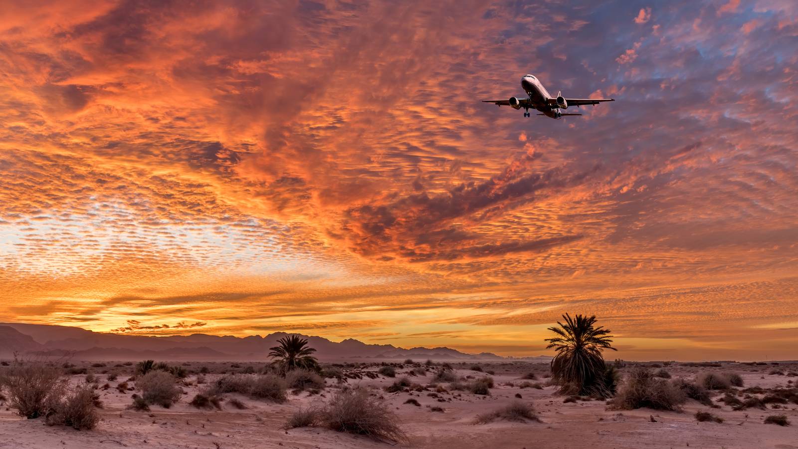 Another New Saudi Carrier: NEOM Airlines To Launch Next Year
