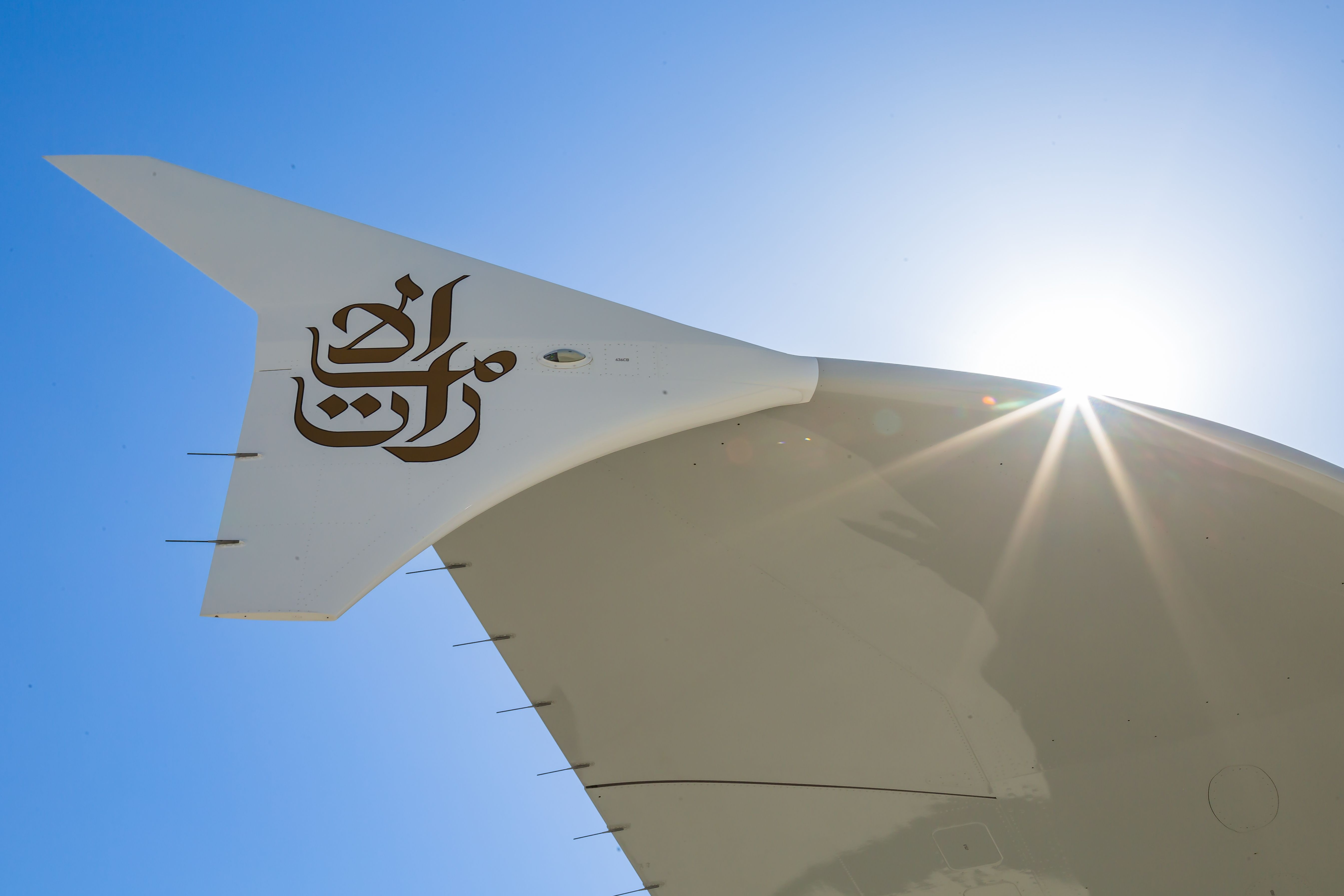 What Are Those Metal Rods On The Aircraft Wing?