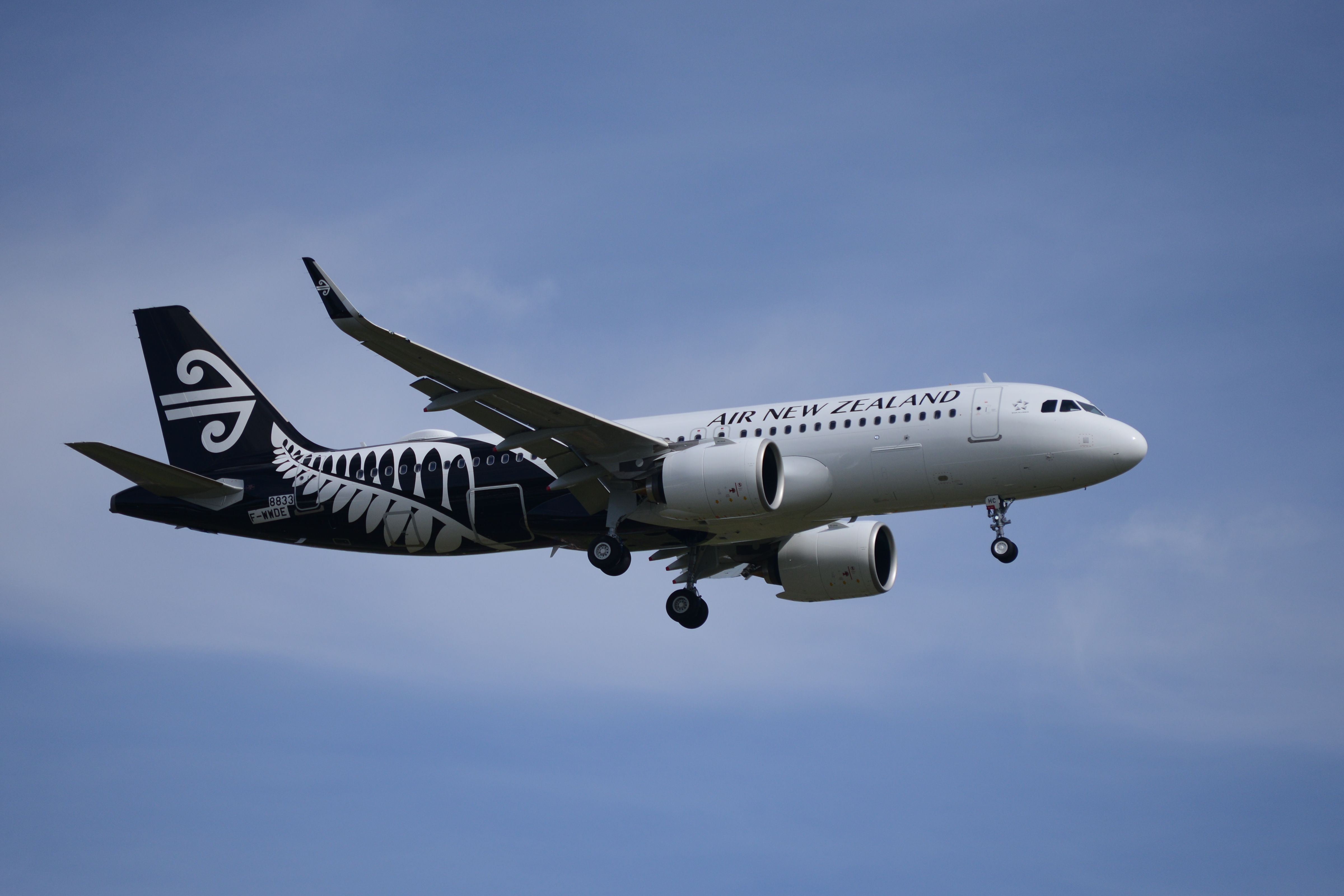 Air New Zealand’s Grounding Of Two Planes Affects Almost 150,000 Passengers