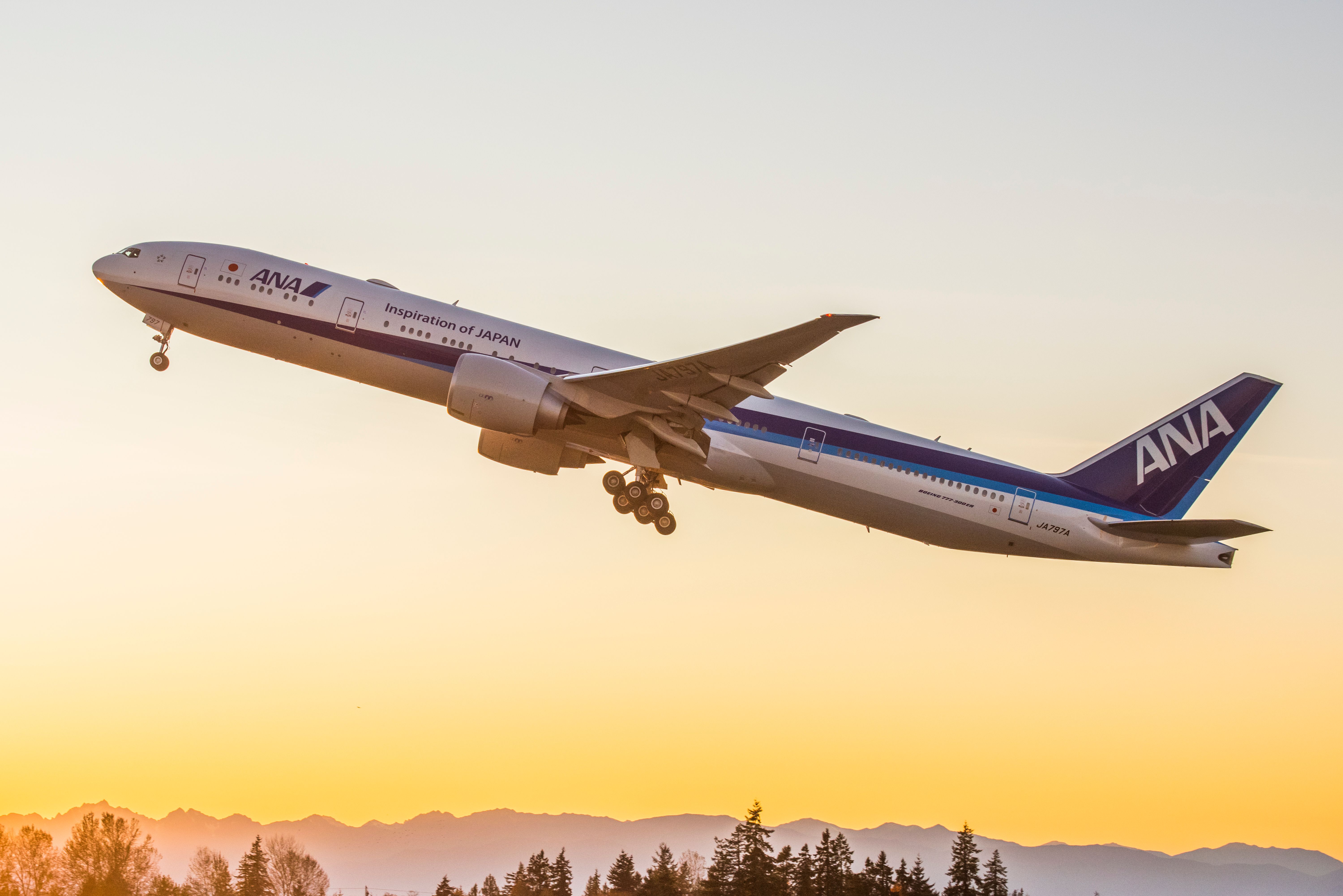 Error Fare: ANA Sold First And Business Class Tickets For Just $330