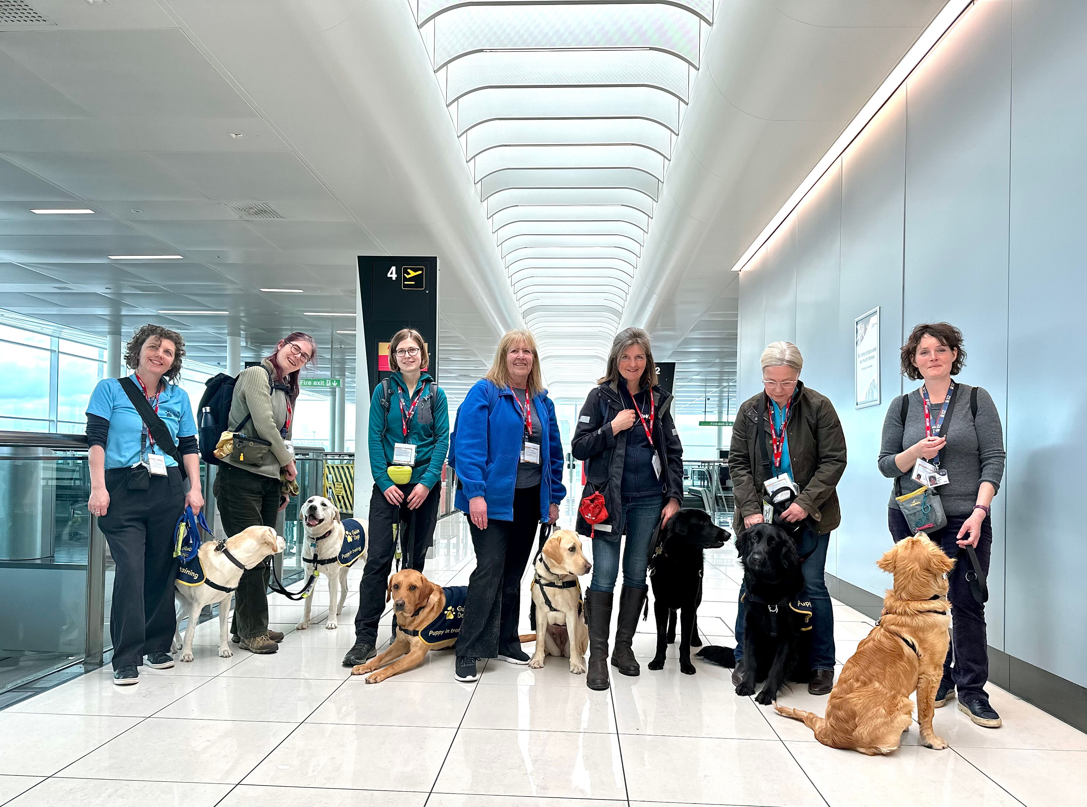 Cute: London Stansted Airport Welcomes Guide Dog Puppies In Training