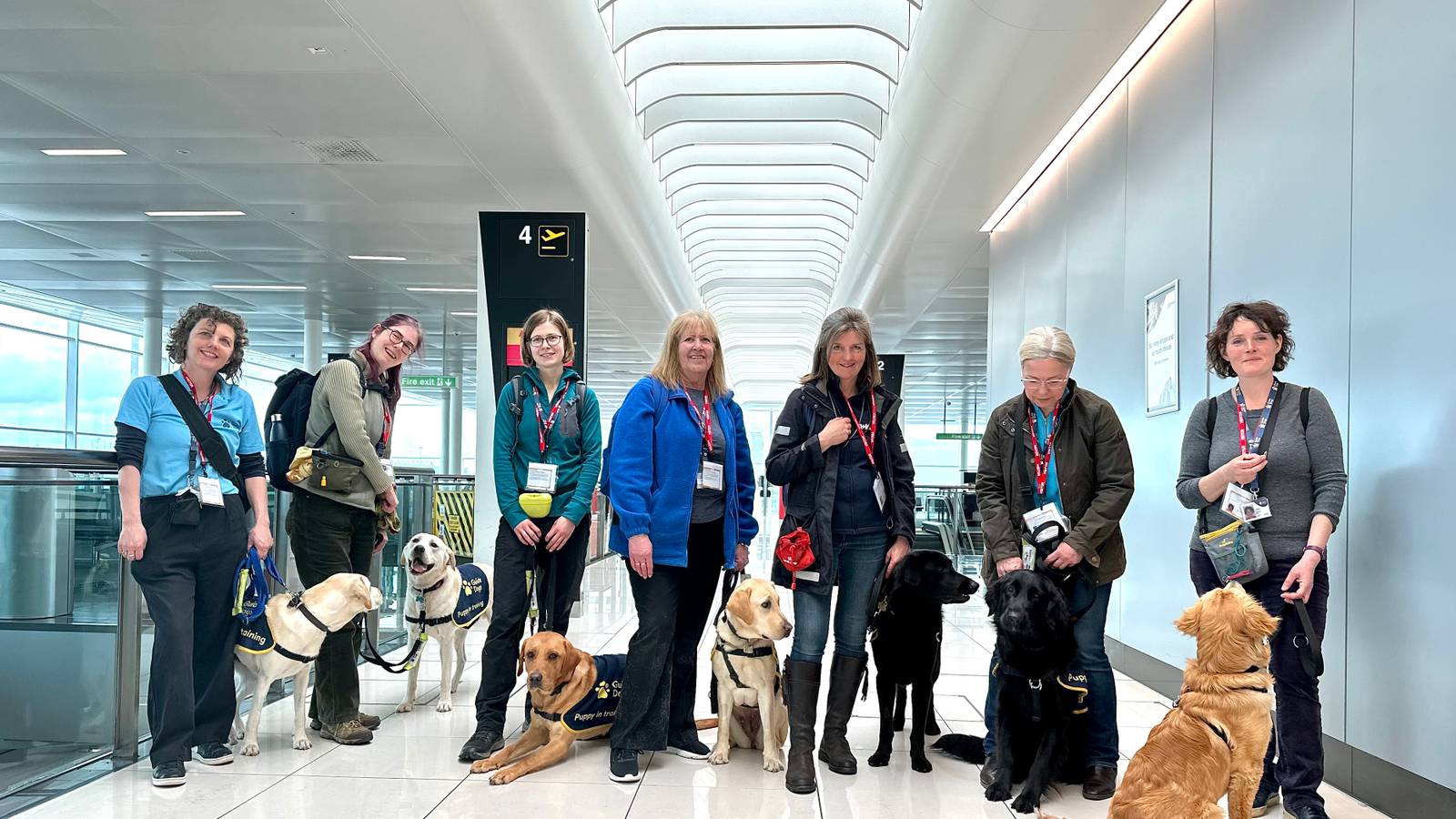 Cute: London Stansted Airport Welcomes Guide Dog Puppies In Training