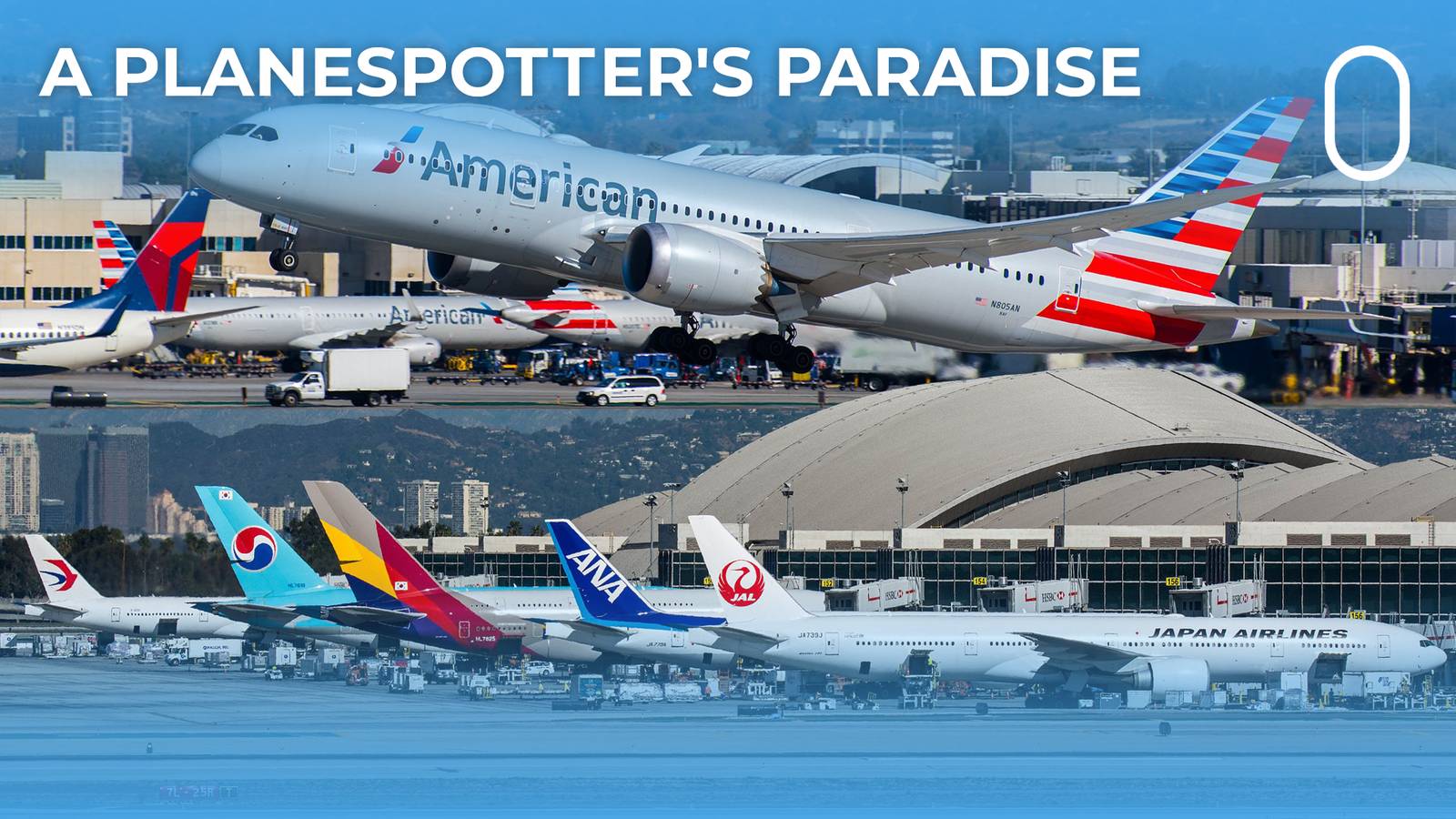 Planespotting At Los Angeles International Airport: Everything You Need ...
