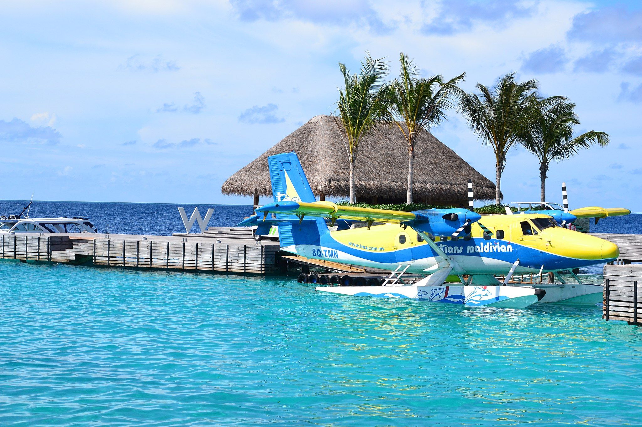 Can Seaplanes Also Land On Solid Ground?
