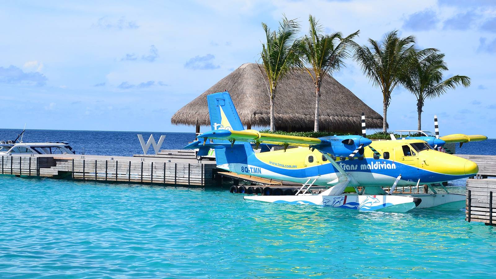 Can Seaplanes Also Land On Solid Ground?