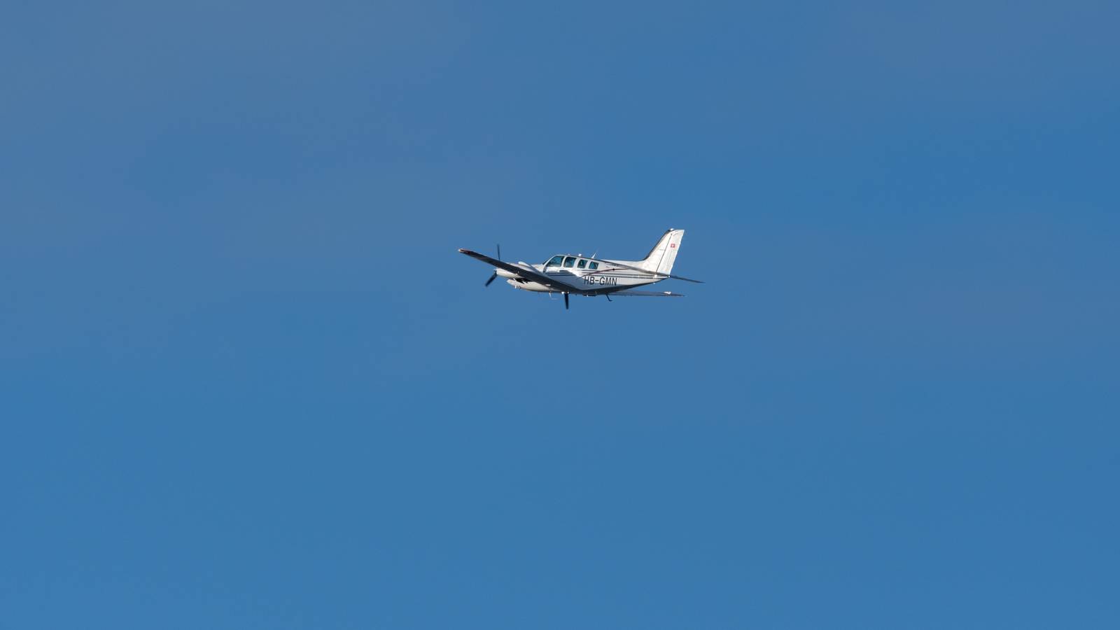 South African Pilot Praised For Safely Landing Plane With Cobra In Cockpit