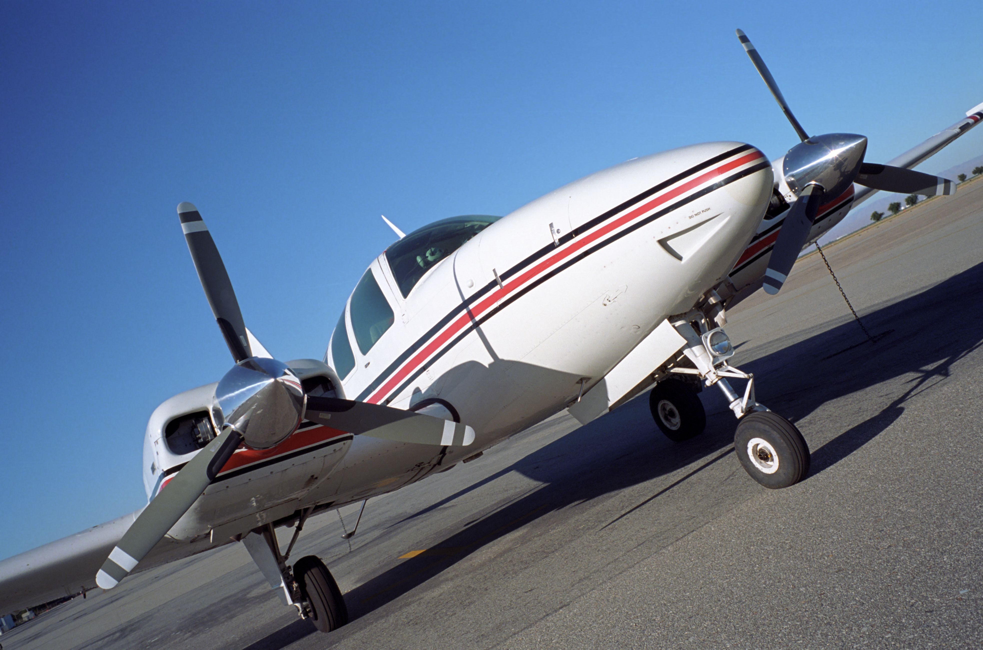 Snake On Pilot‘s Back Prompts Emergency Landing In South Africa