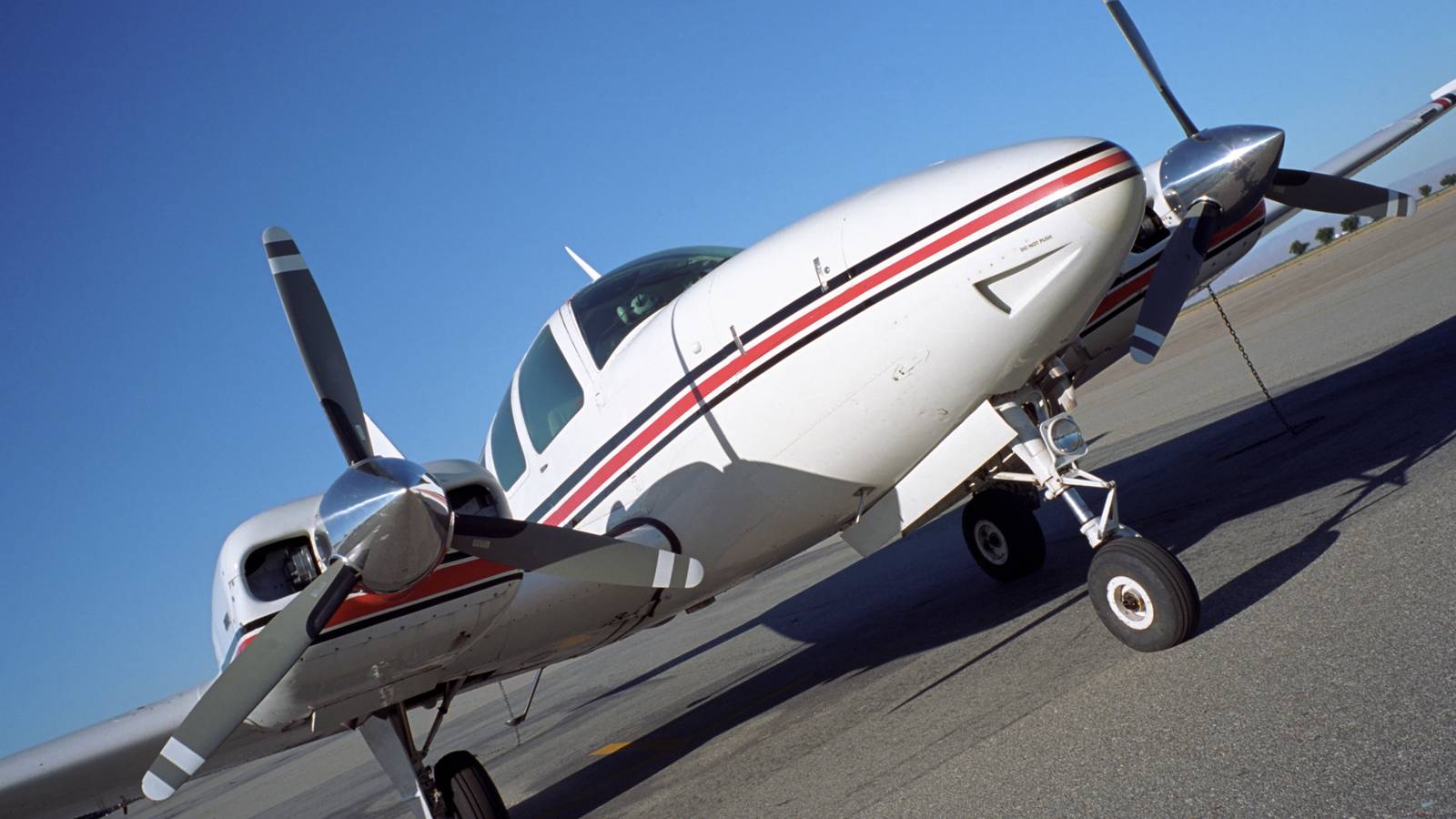 Snake On Pilot‘s Back Prompts Emergency Landing In South Africa