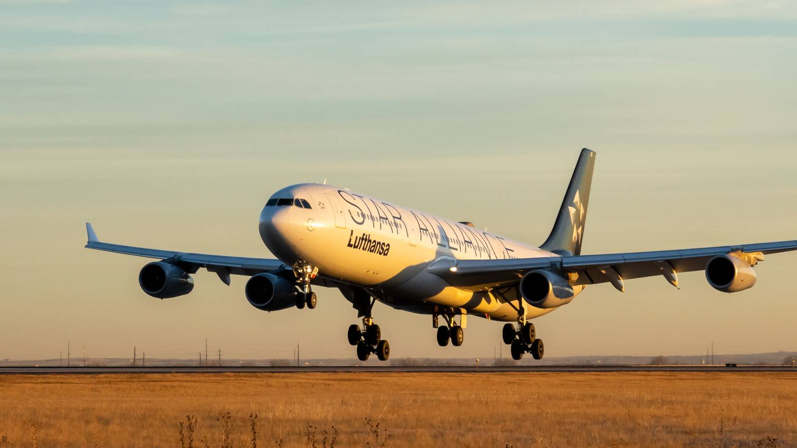 Lufthansa Says Profitability After ITA Purchase Will Take Time