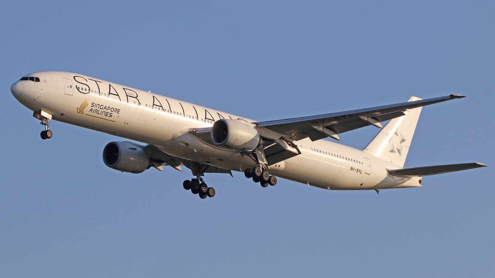 Theo Panagiotoulias Named As New CEO Of Star Alliance
