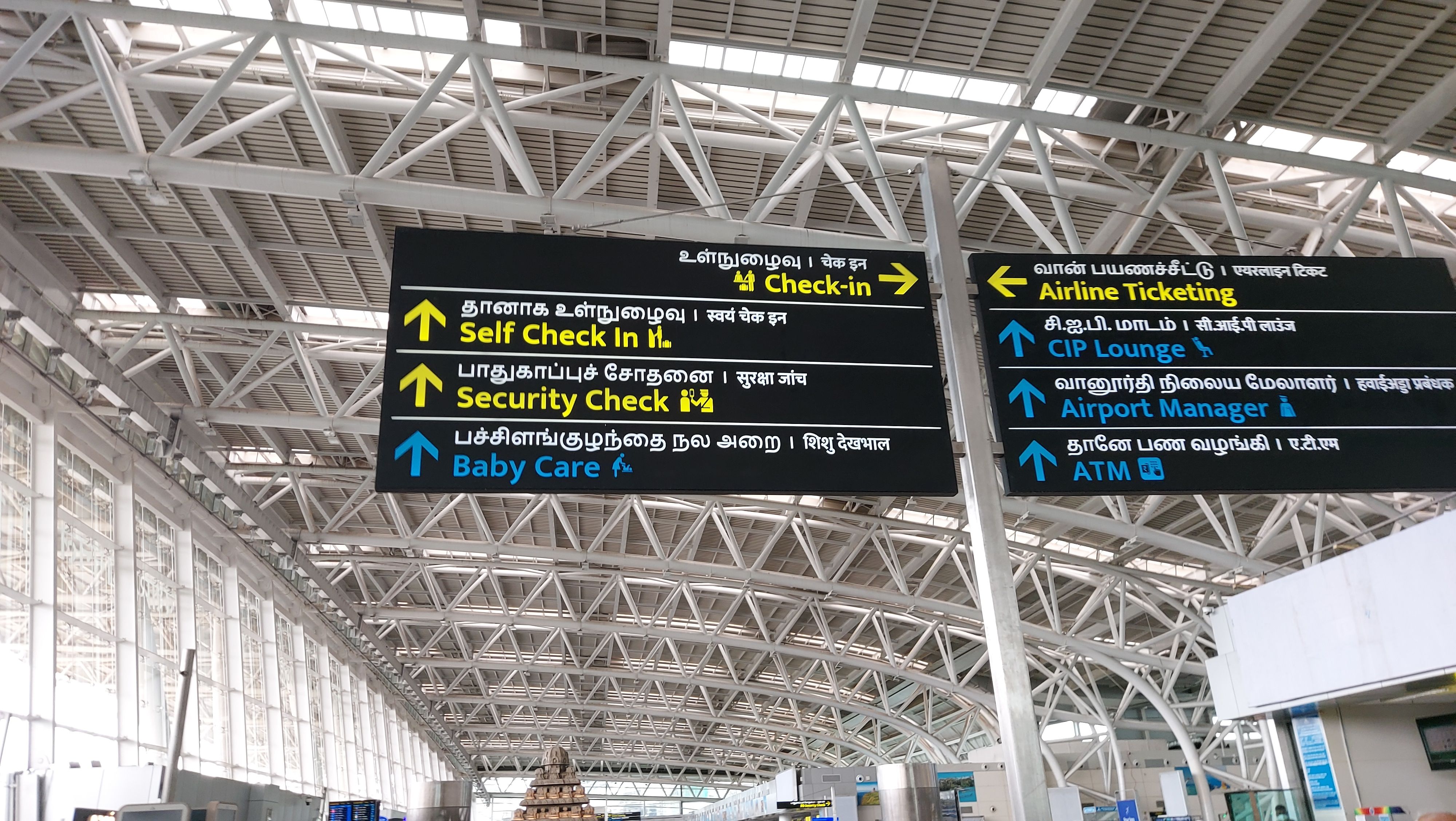 22 Snakes Recovered From A Passenger’s Bag At Chennai Airport