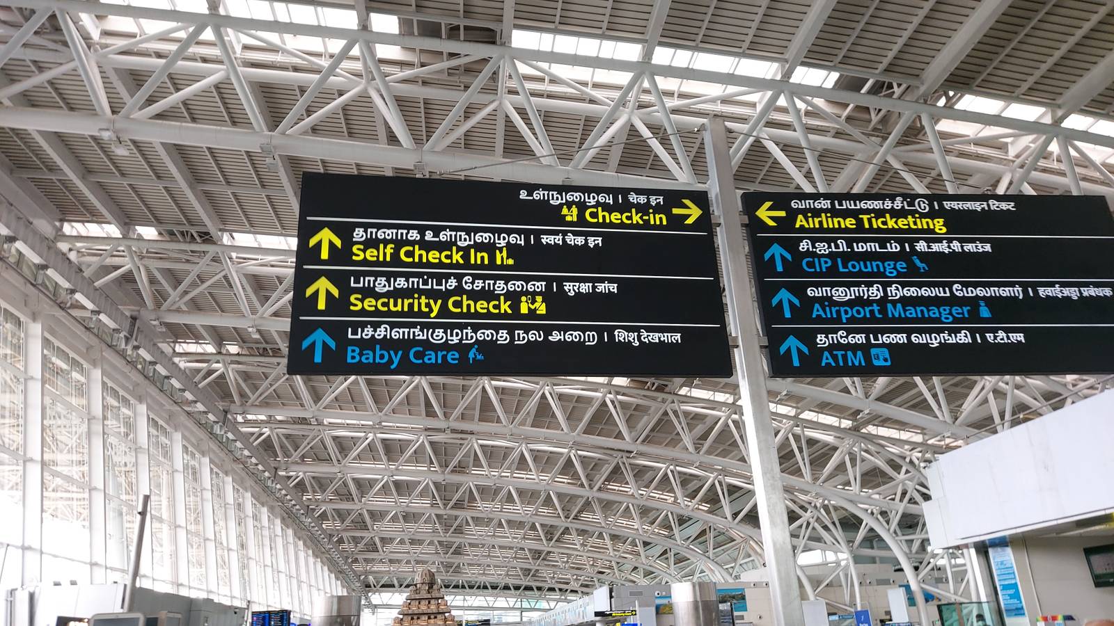 22 Snakes Recovered From A Passenger’s Bag At Chennai Airport