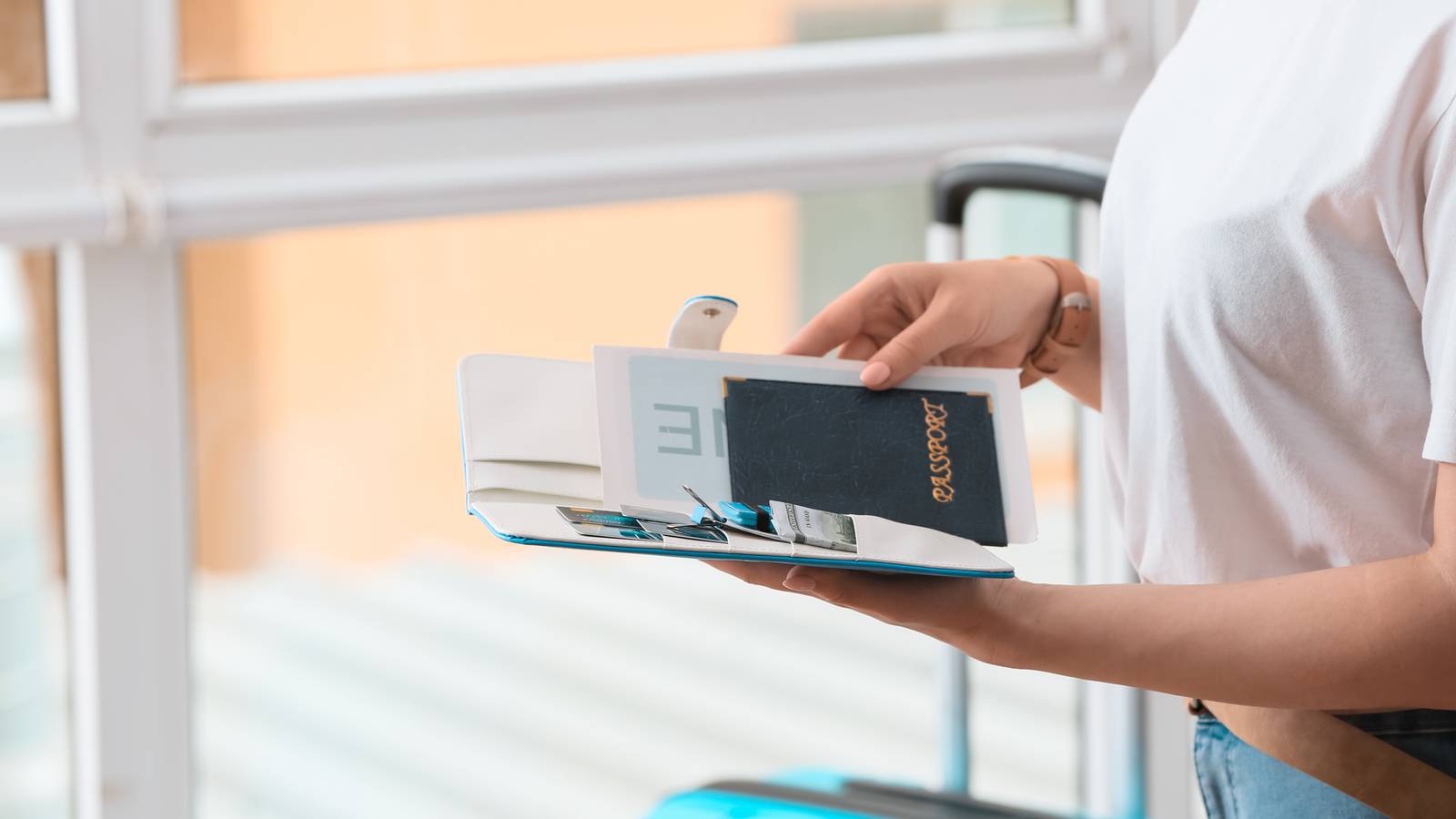 Stylish Or Unnecessary? The Wonderful World Of Passport Covers
