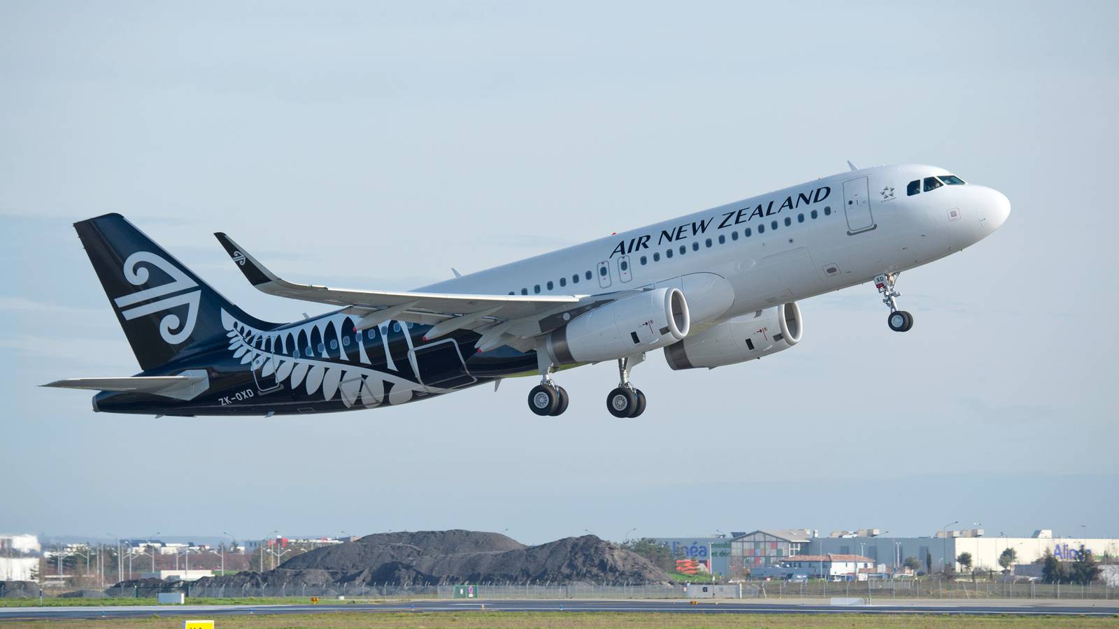 What Is Air New Zealand's Koru Hour?