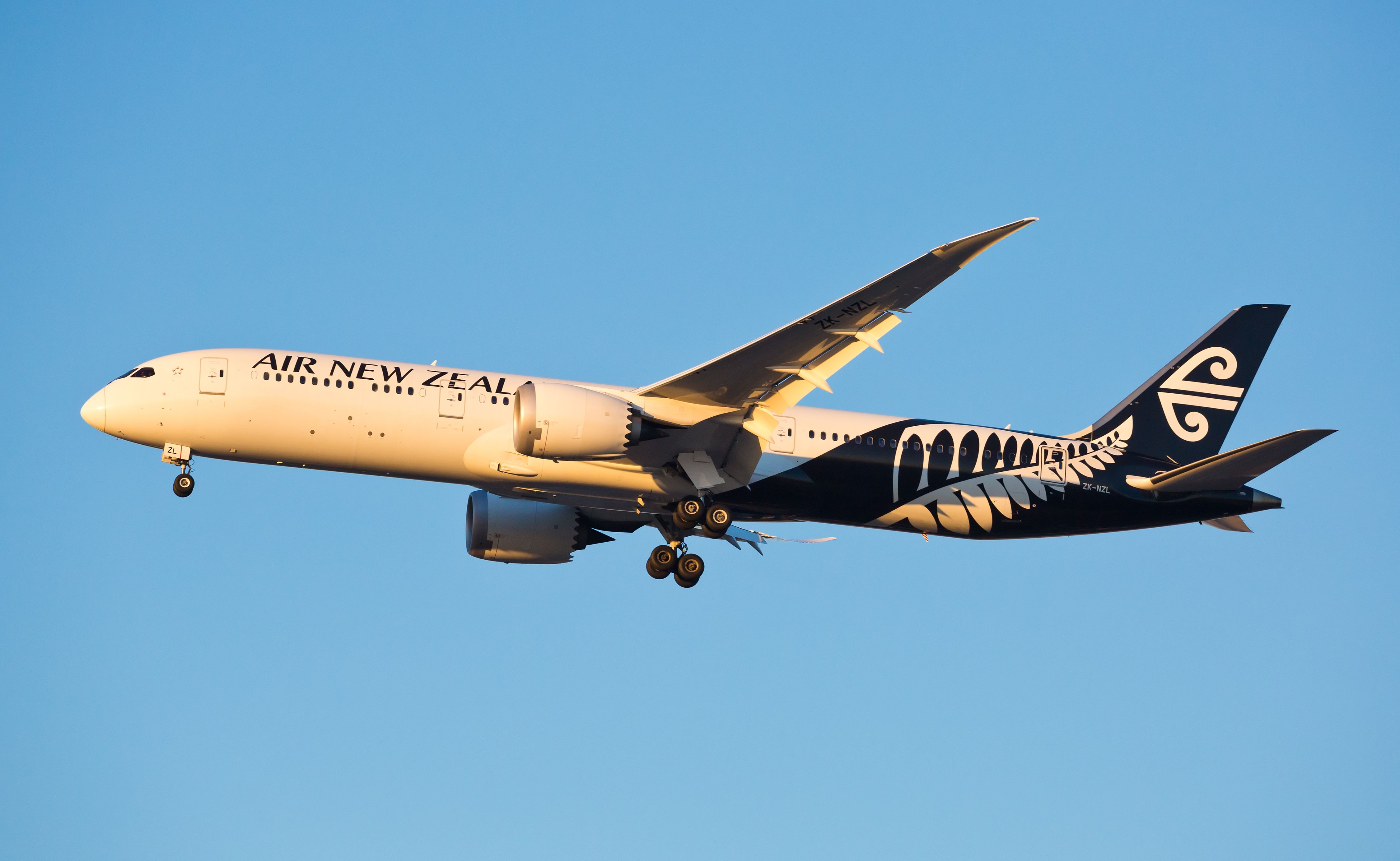 Air New Zealand Boeing 787-9 Makes Dreams Come True