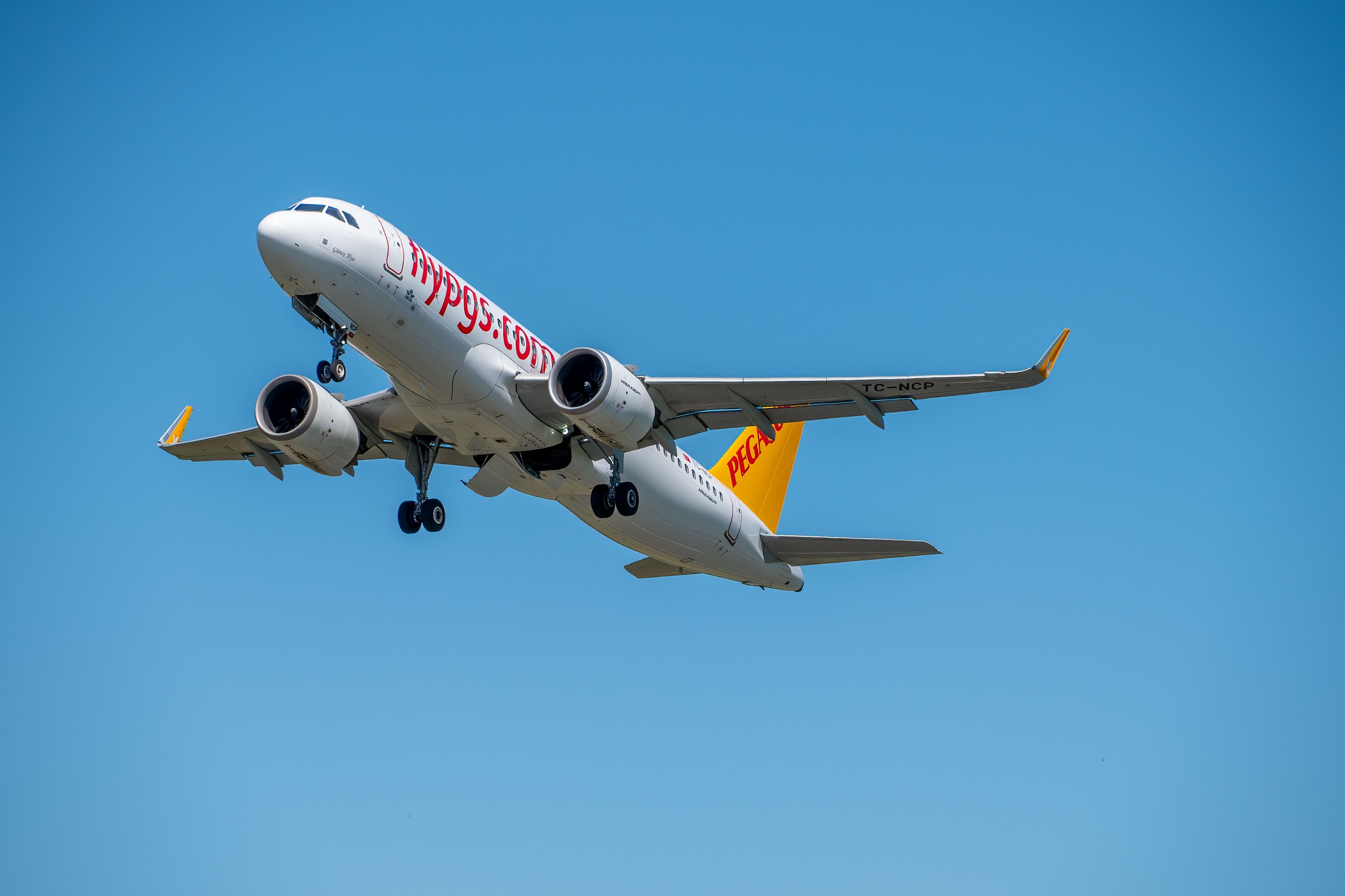 Pegasus CEO Says Airline Had 'The Highest Operational Profitability In The World' Last Year