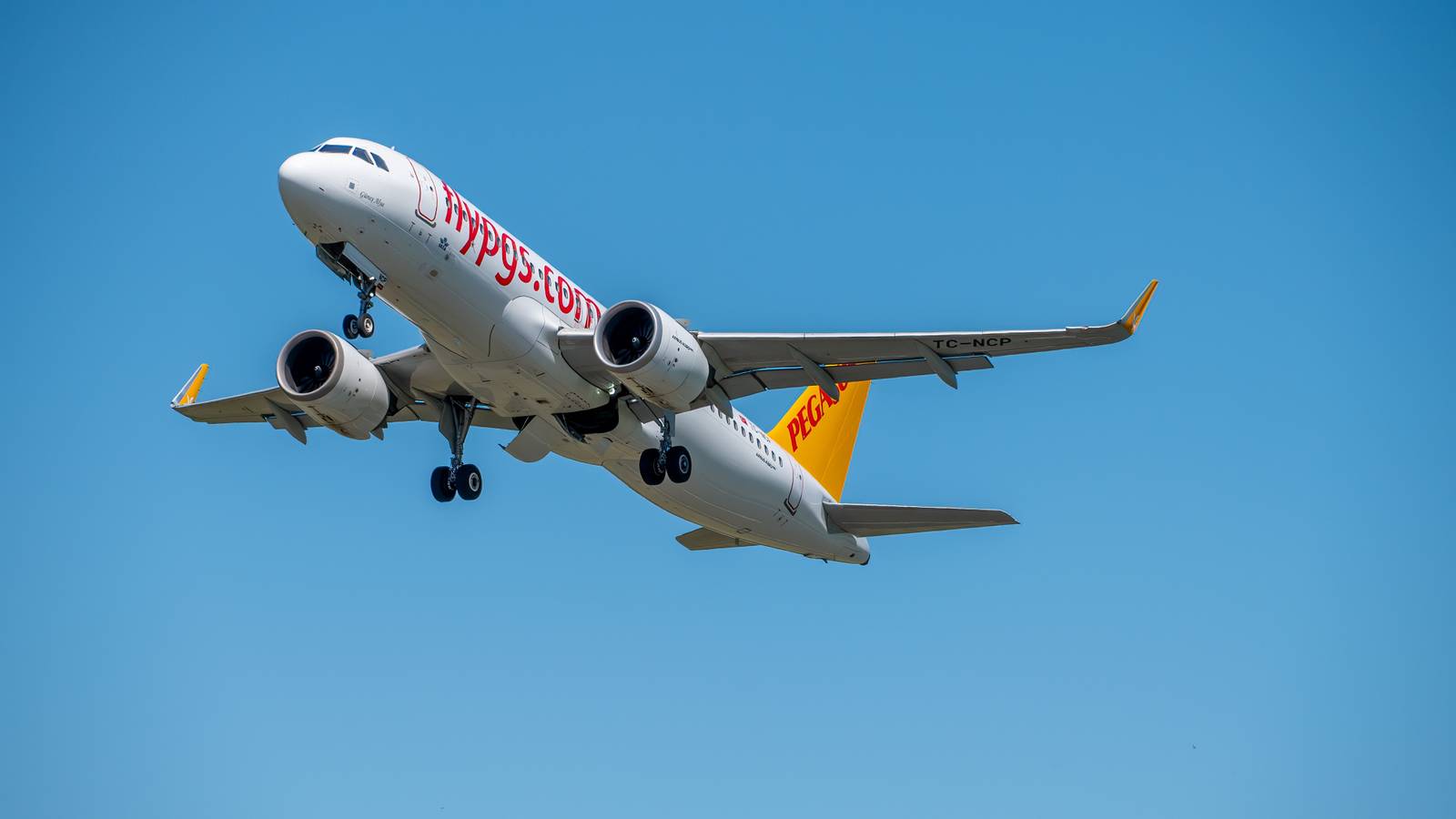 Pegasus CEO Says Airline Had 'The Highest Operational Profitability In The World' Last Year