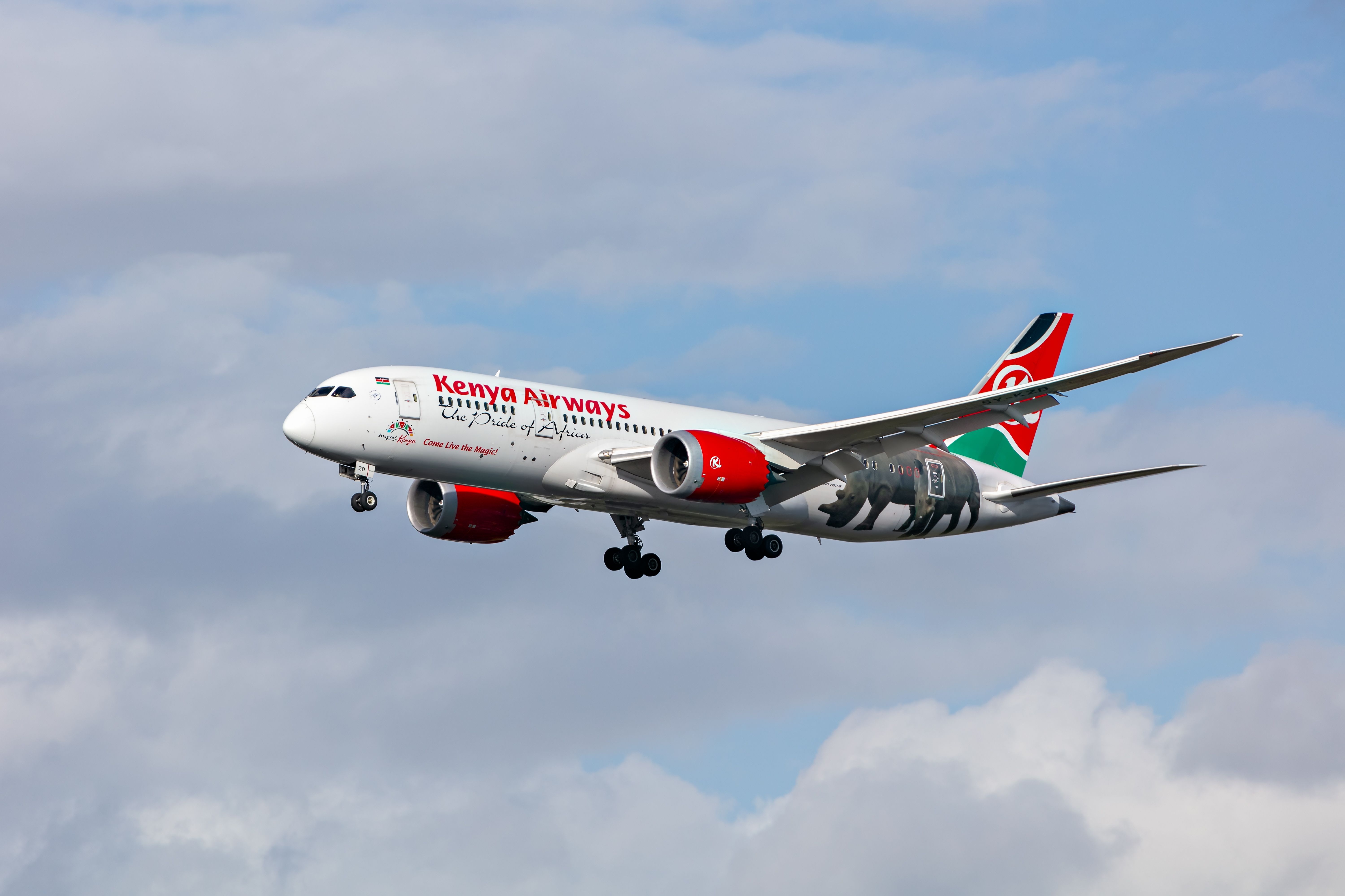 Asante Rewards: Kenya Airways Launches A New Frequent Flyer Scheme