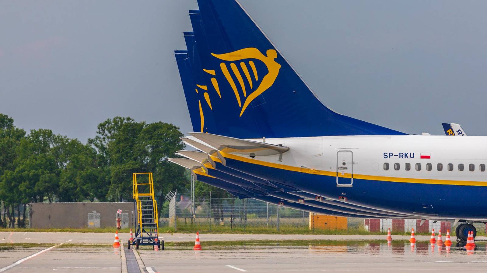 Court Allows Ryanair Lawsuit Vs Online Ticket Agency To Proceed