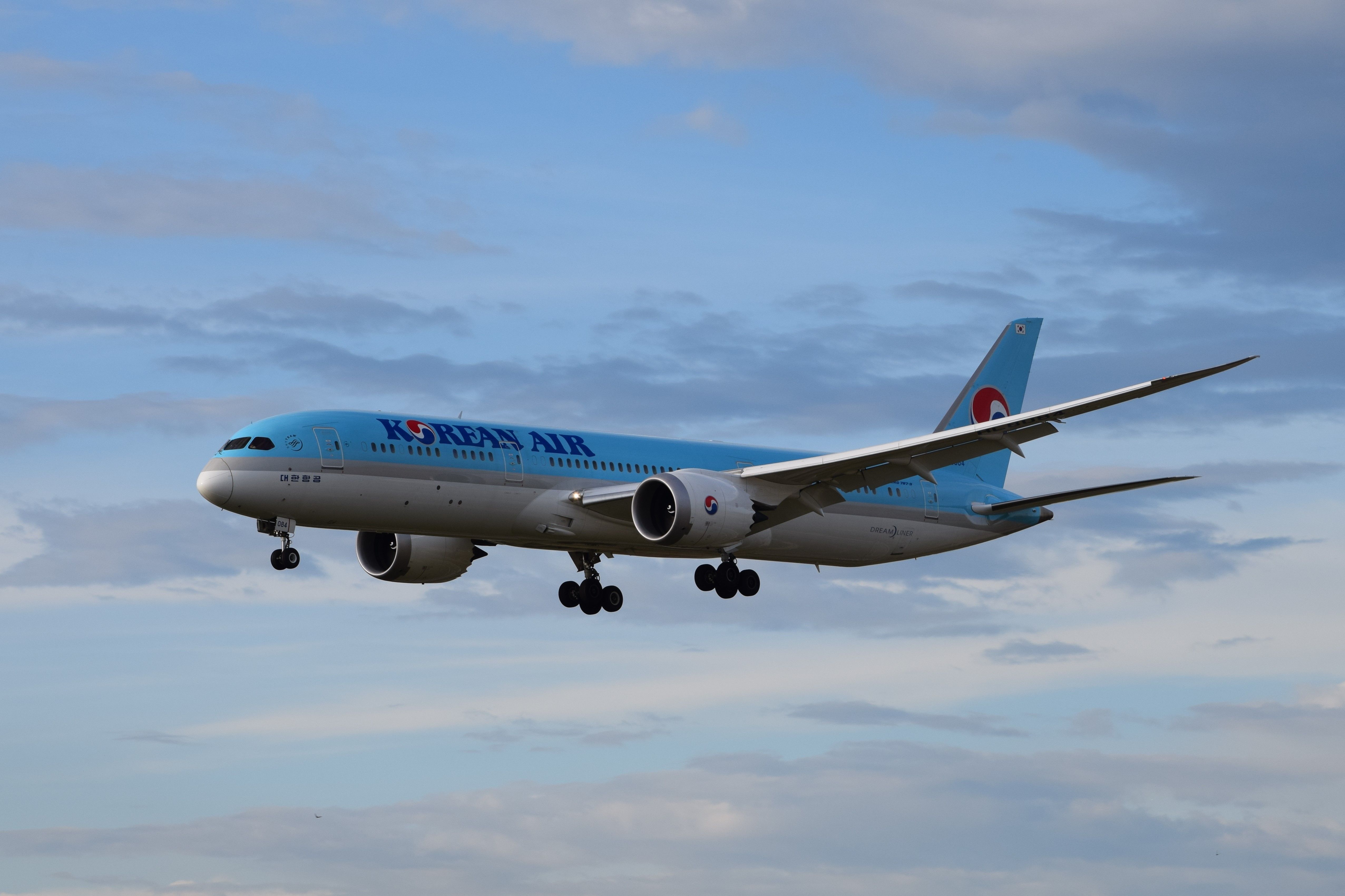 Cheers: Korean Air Has Launched Its Own Craft Lager