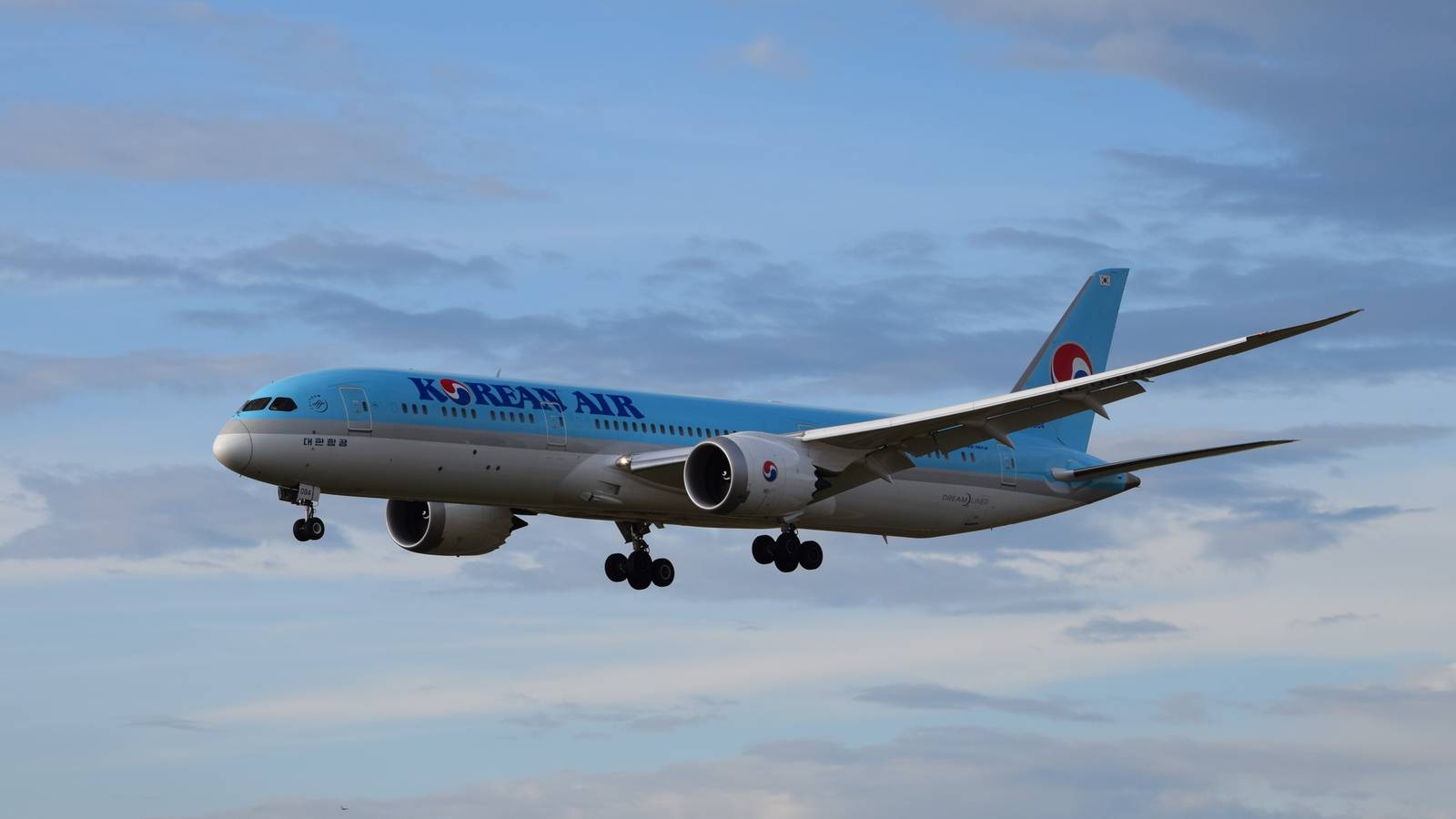 Cheers: Korean Air Has Launched Its Own Craft Lager