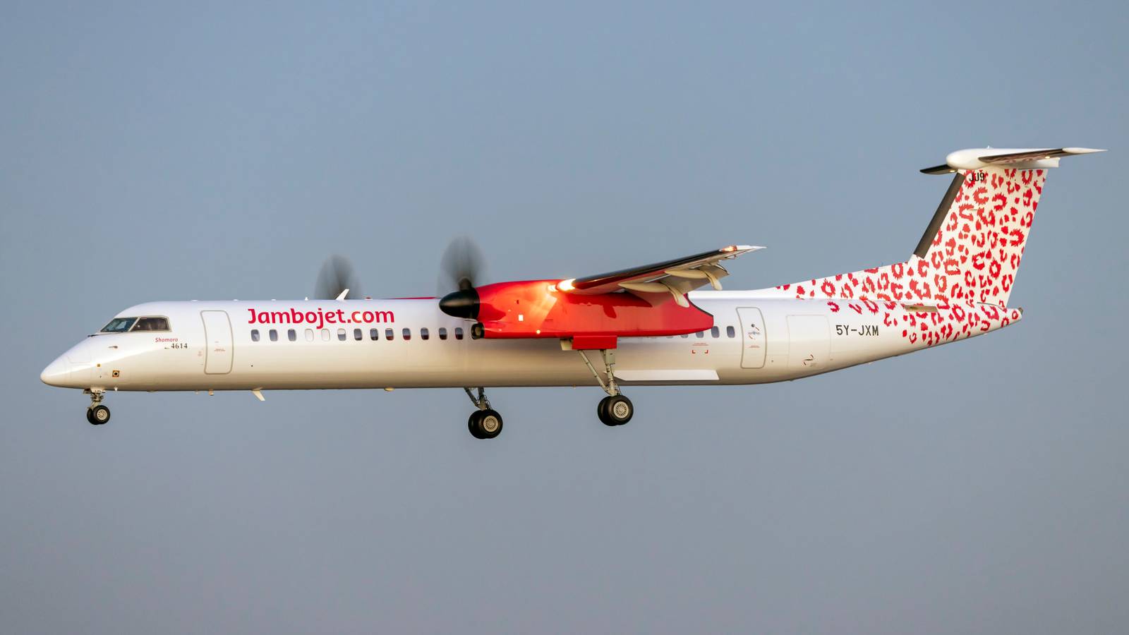 Kenya's Jambojet Looks To Lease Used Dash 8-400s