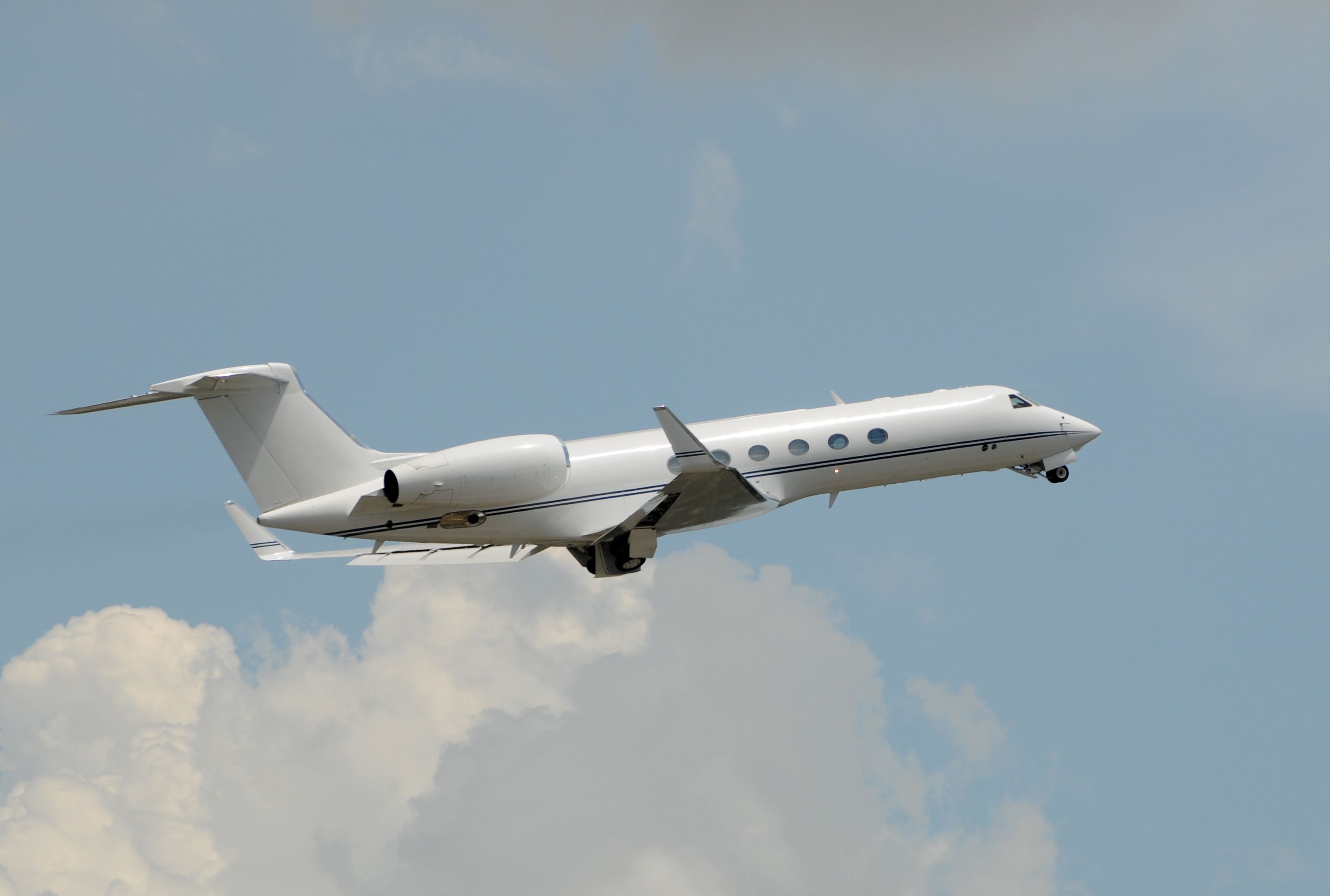 K9 Jets To Begin Flying Pets Between Dubai & London In September