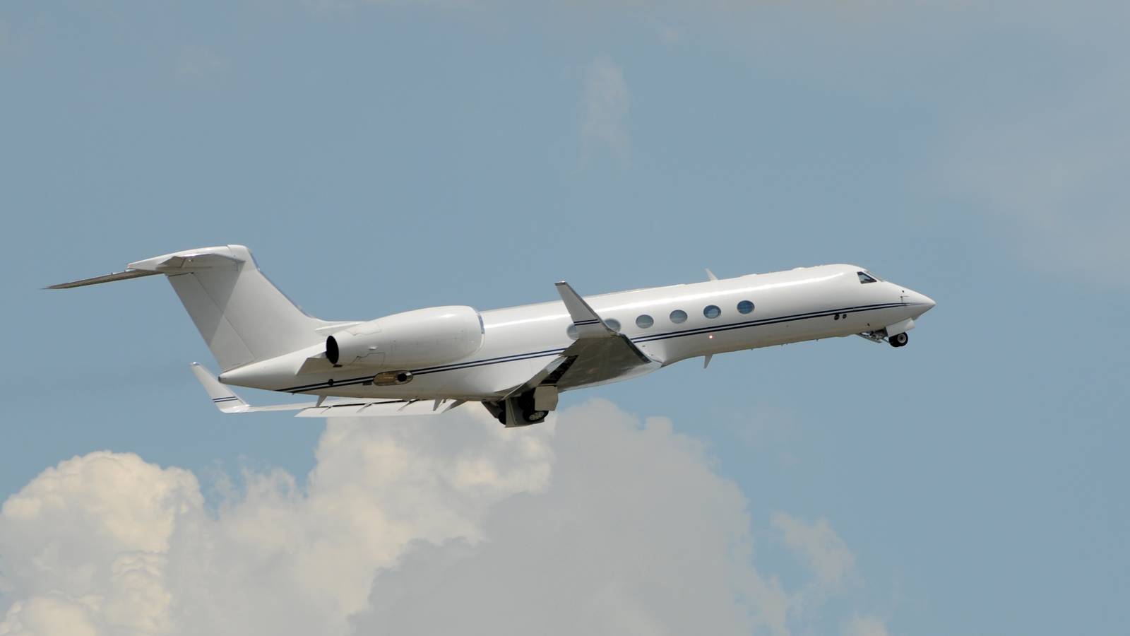 K9 Jets To Begin Flying Pets Between Dubai & London In September