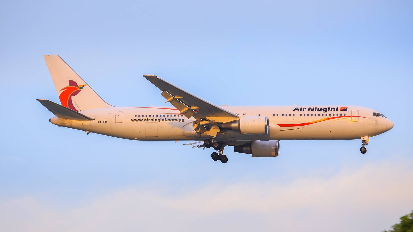 Everything You Need To Know About Air Niugini