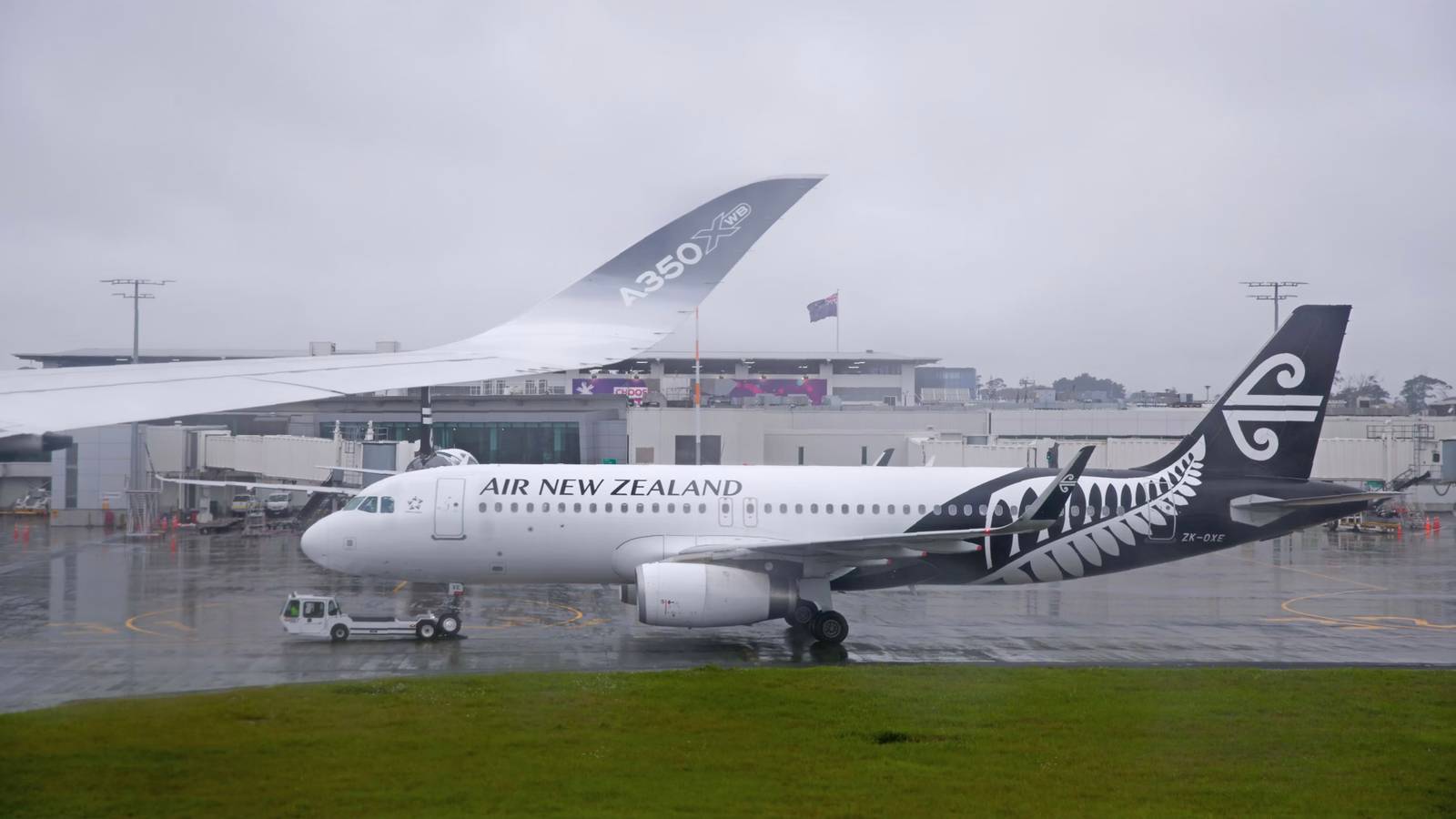 Air New Zealand Wants To Pioneer Green Hydrogen-Powered Aircraft