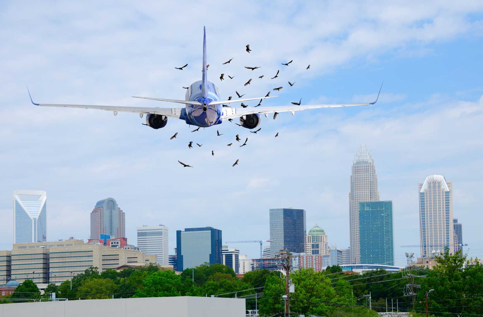 NTSB Investigators Found Bird Remains In Engine After Ryanair Passenger ...