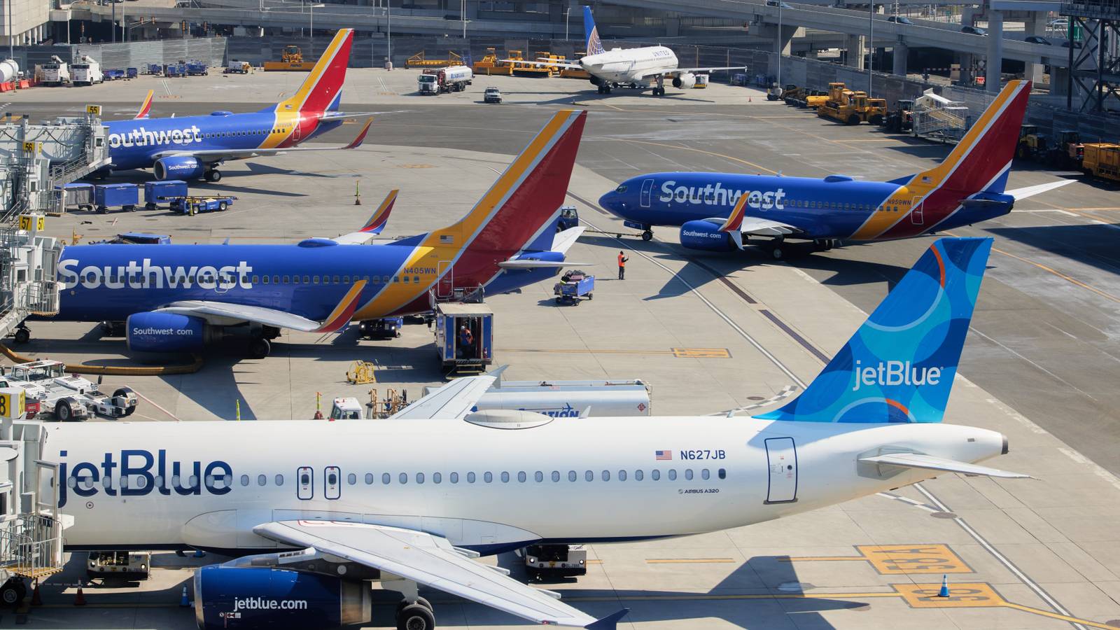 National Dog Month: How Do New York City's Airports Support Canine Travelers?